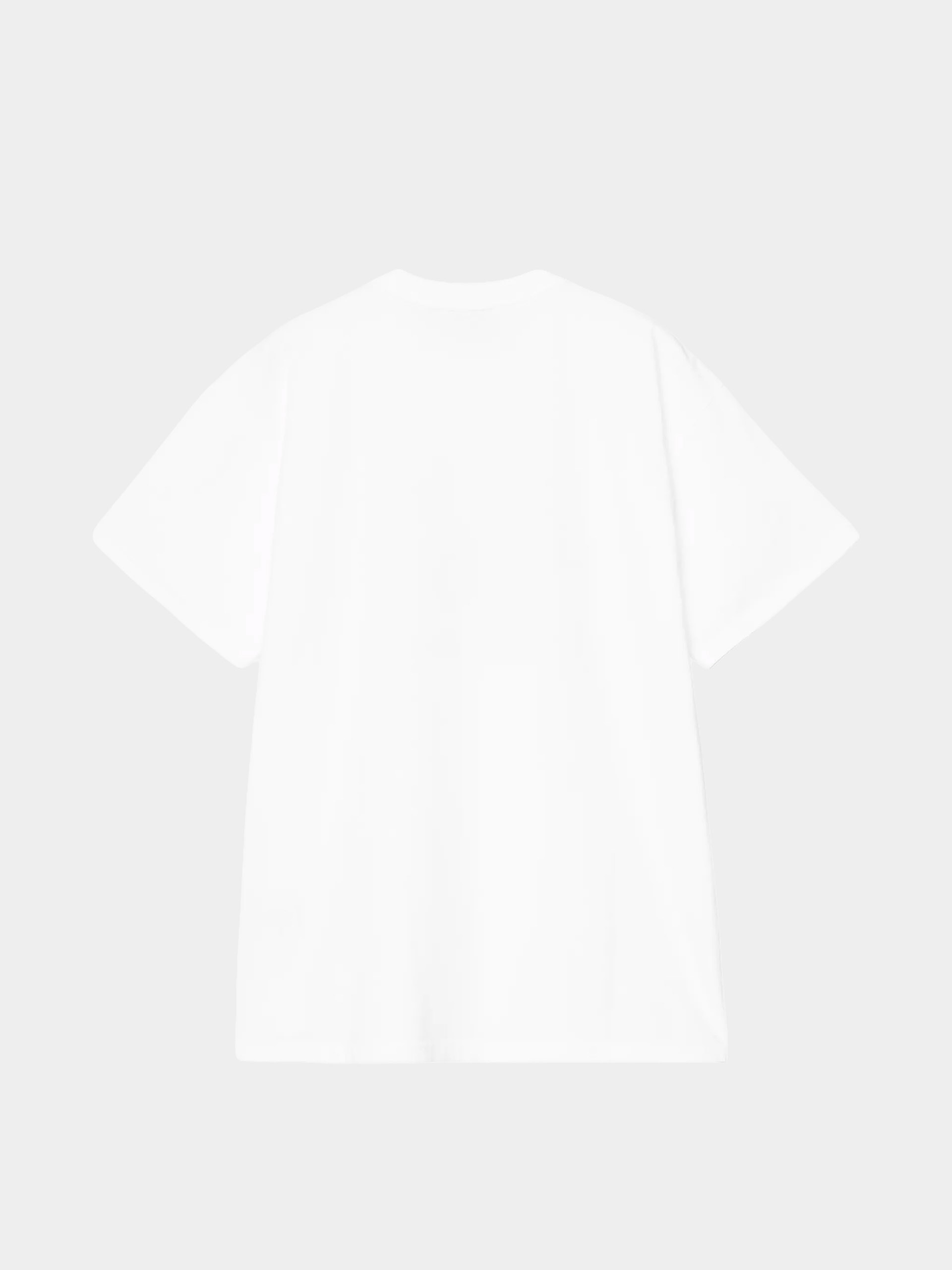 Футболка Carhartt WIP Coat Of Arms (white)