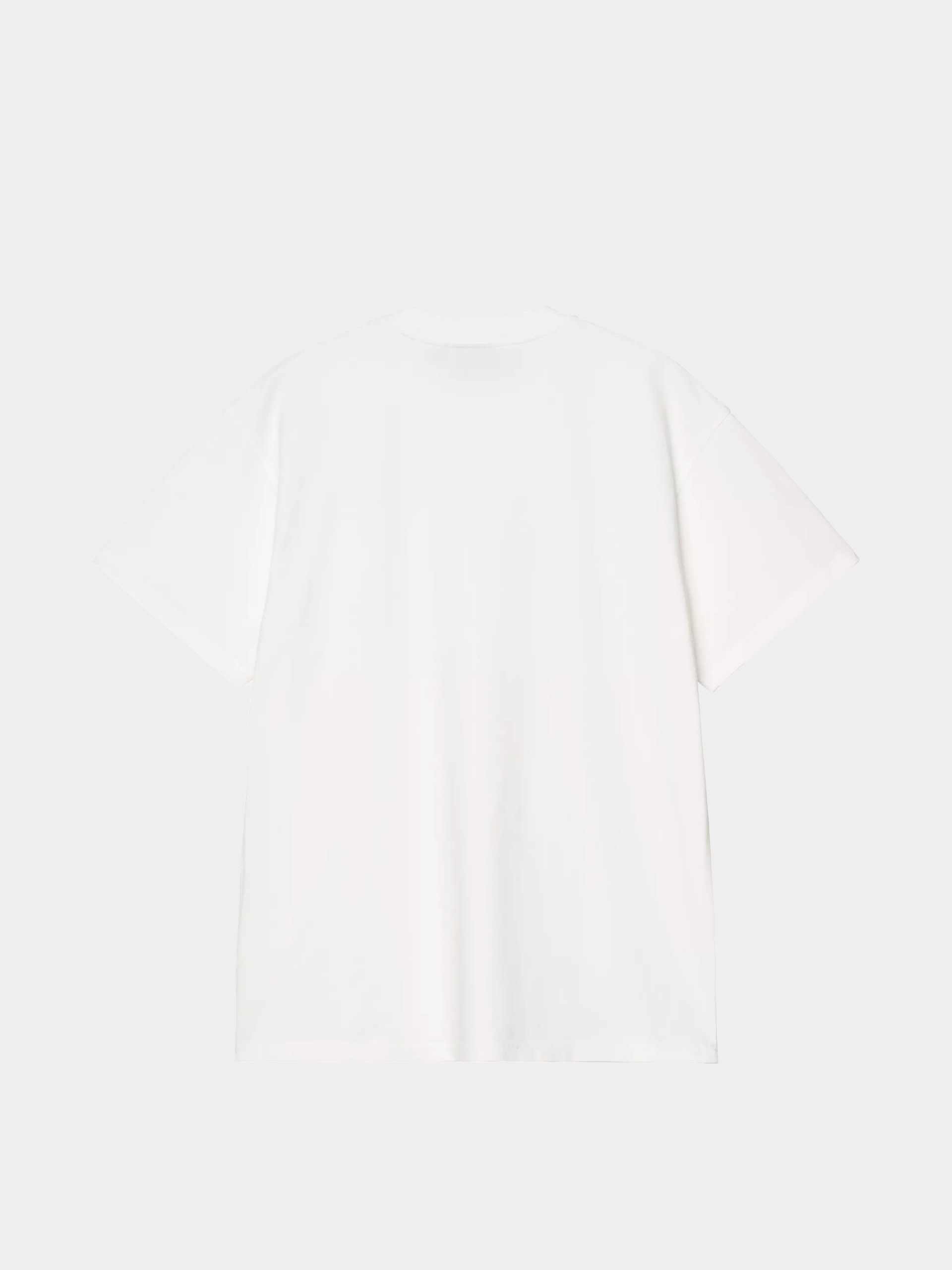 Футболка Carhartt WIP Pond Corps Pocket (white)