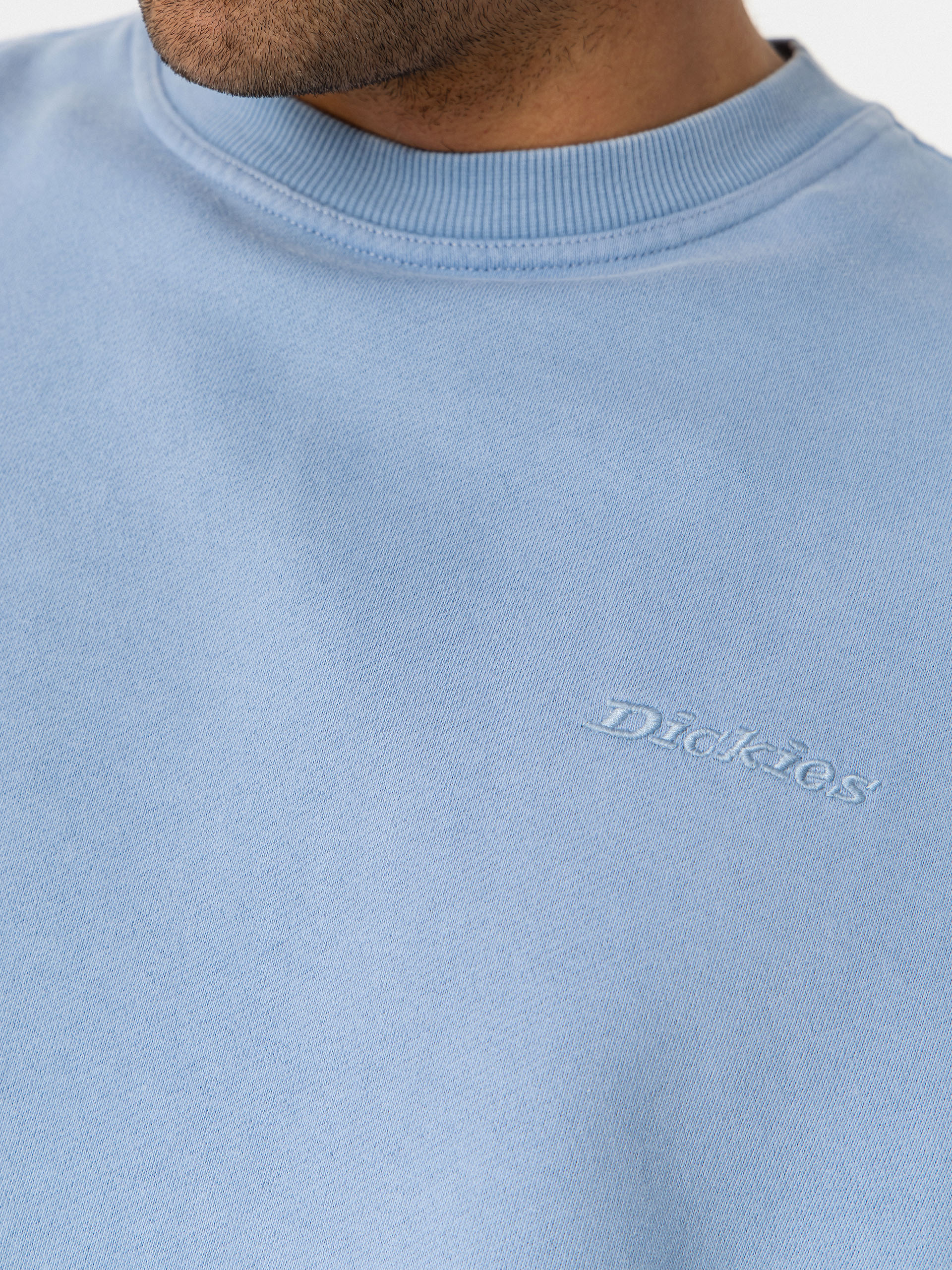 Світшот Dickies Plentywood (endless sky)