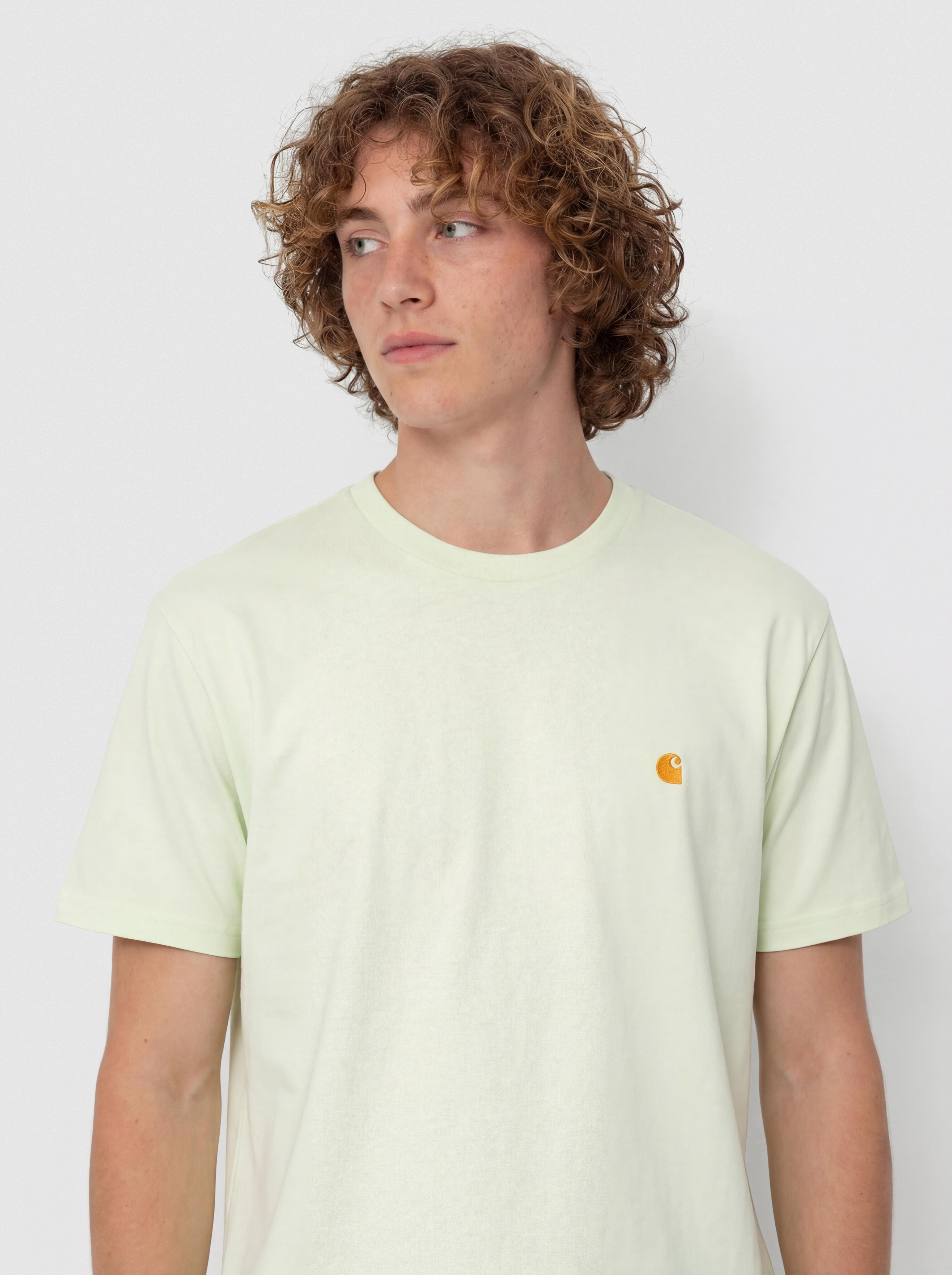 Футболка Carhartt WIP Chase (air green/gold)