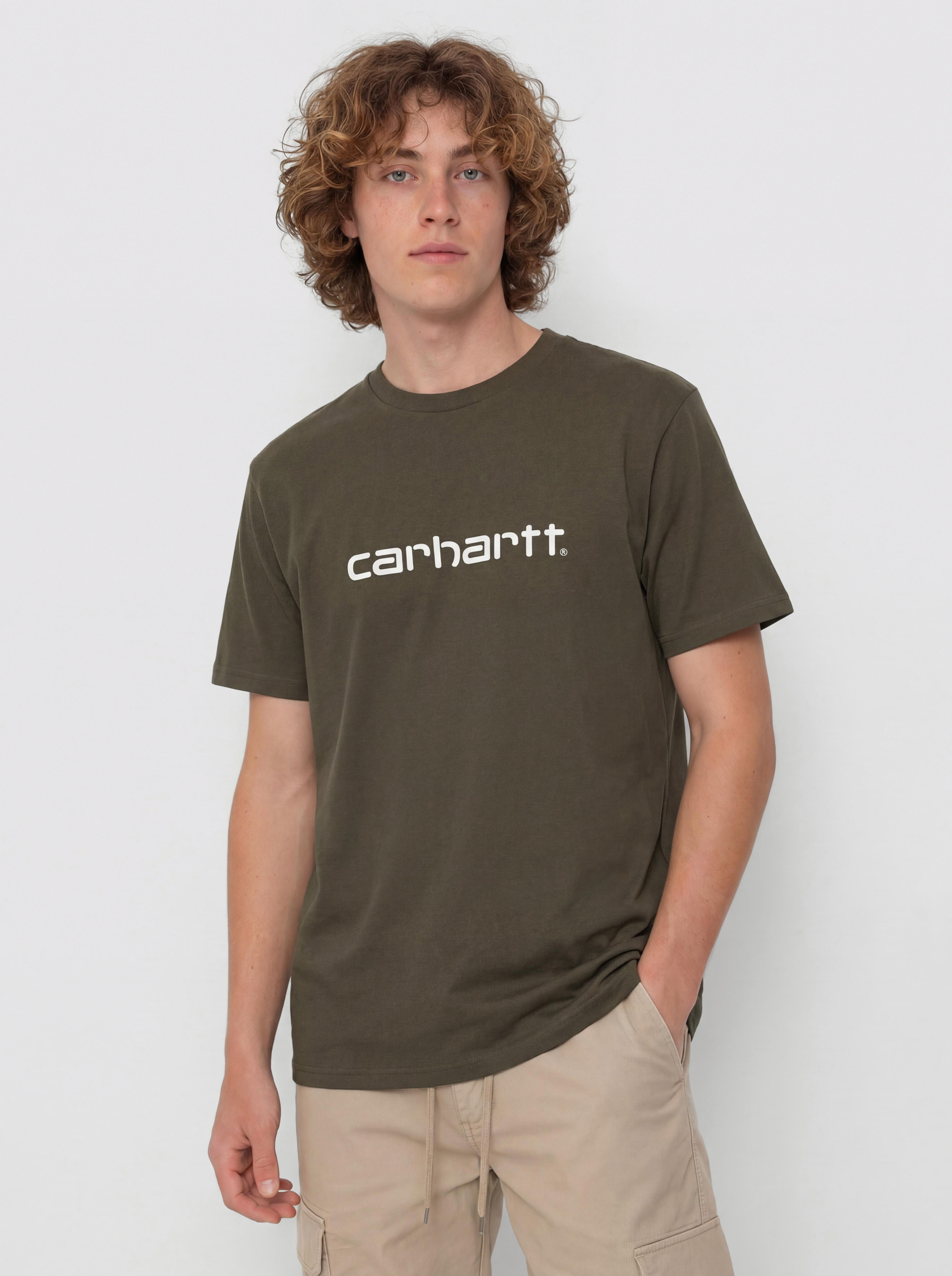 Футболка Carhartt WIP Script (turtle/air pink)