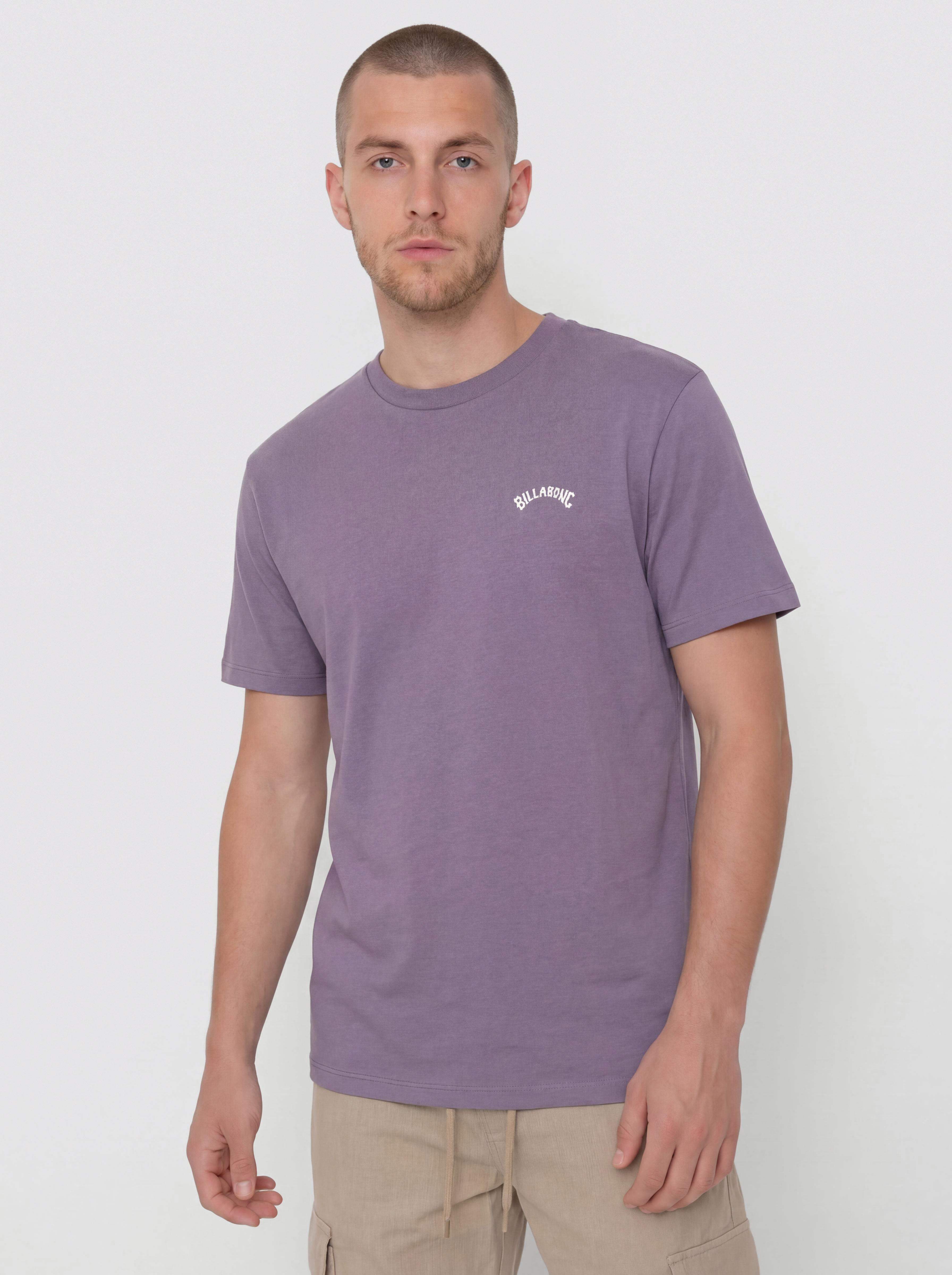 Футболка Billabong Arch (dusty grape)