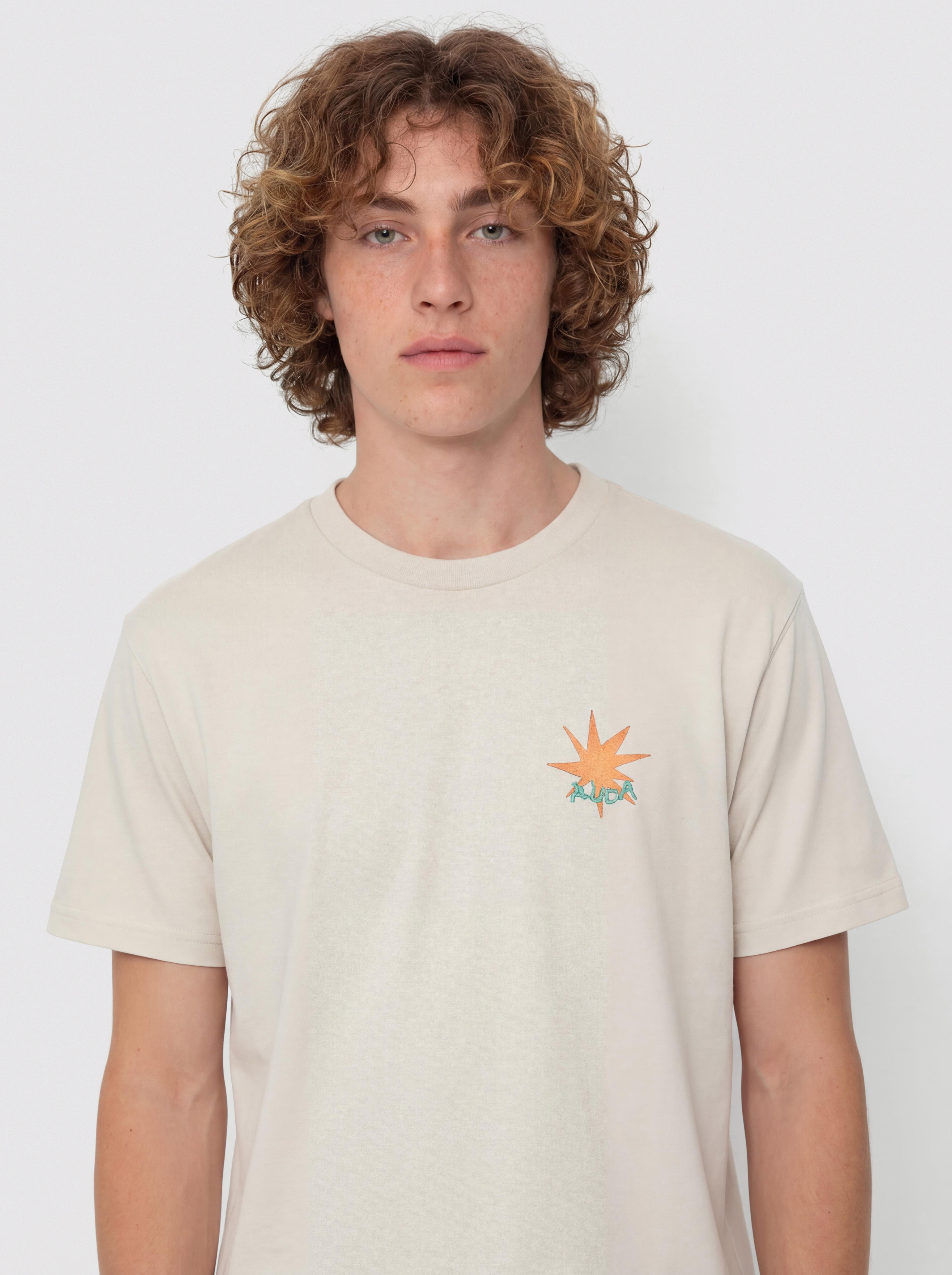 Футболка RVCA Pegasus (ceramic)