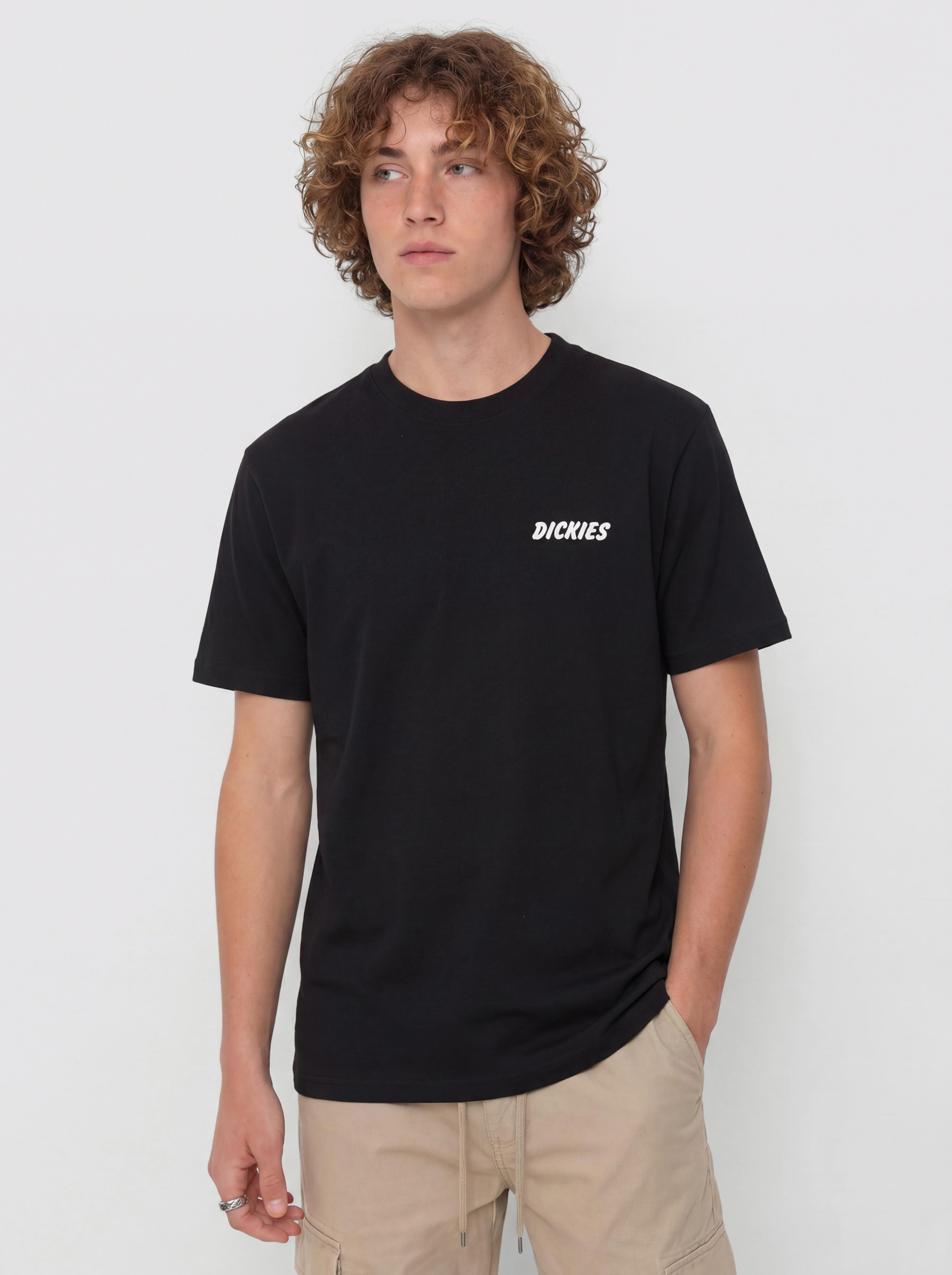 u0424u0443u0442u0431u043eu043bu043au0430 Dickies Dry Ridge (black)