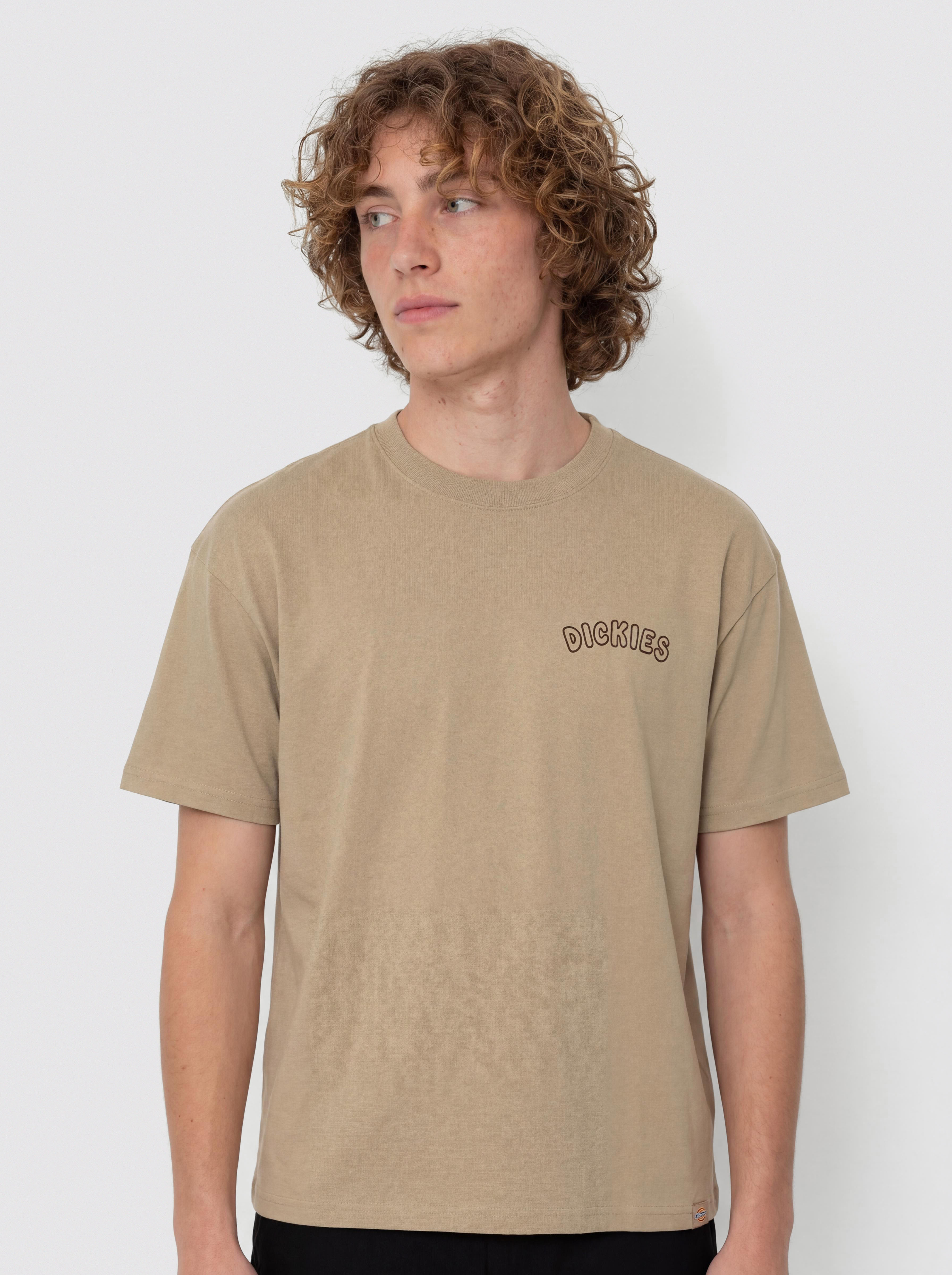 Футболка Dickies Decartuville (desert sand)