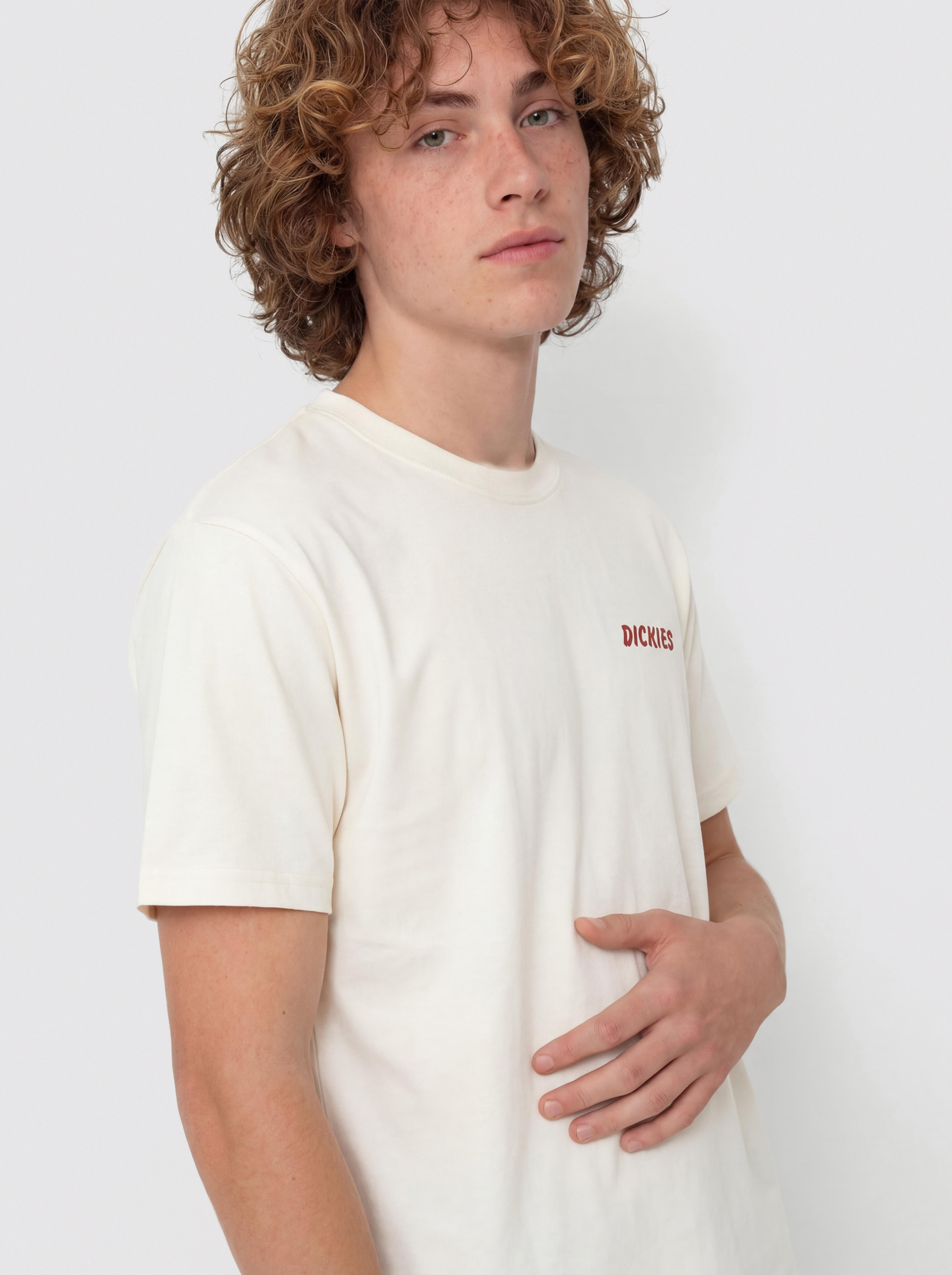 Футболка Dickies Dry Ridge (egret)