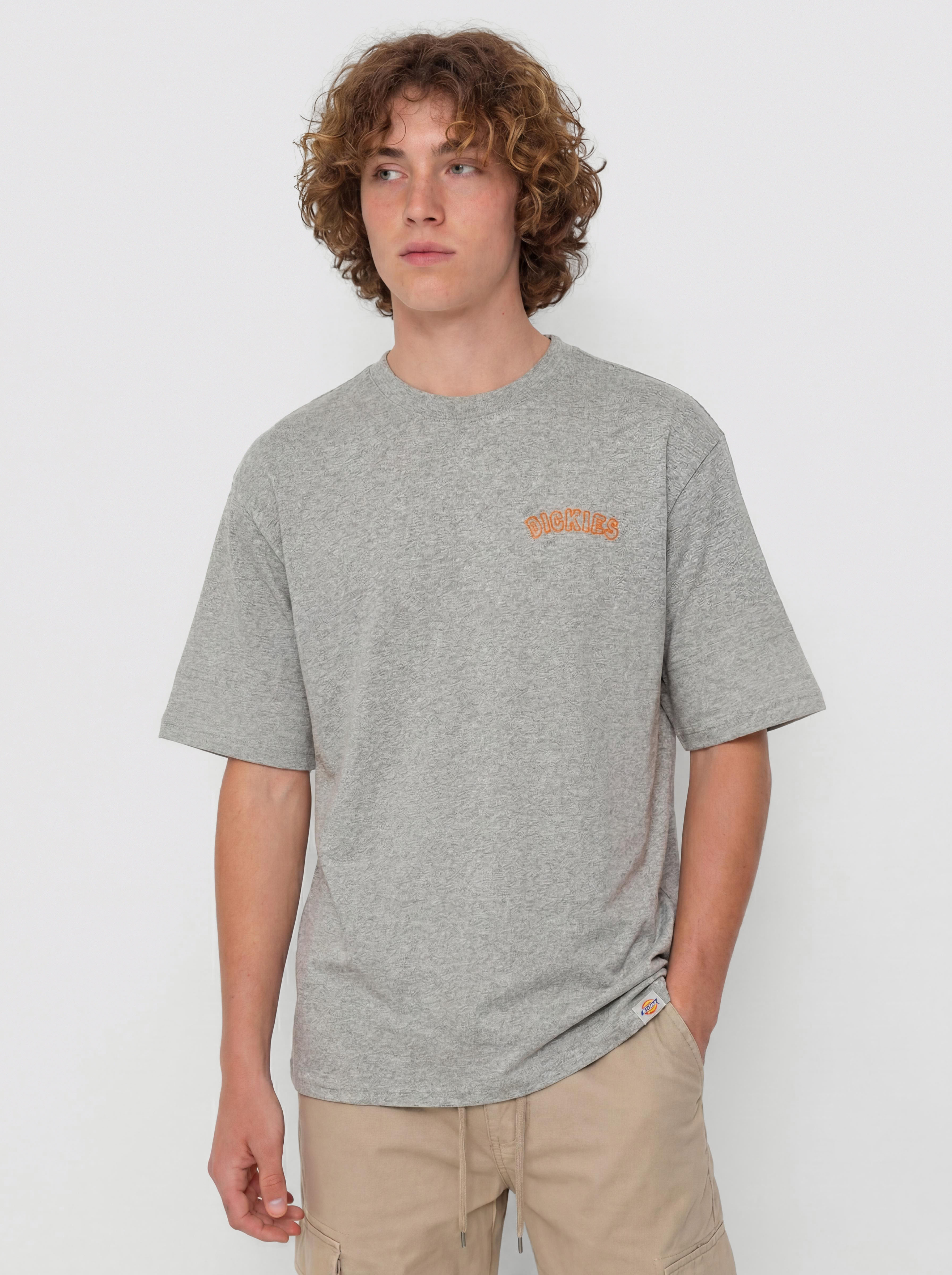 Футболка Dickies Decartuville (grey melange)