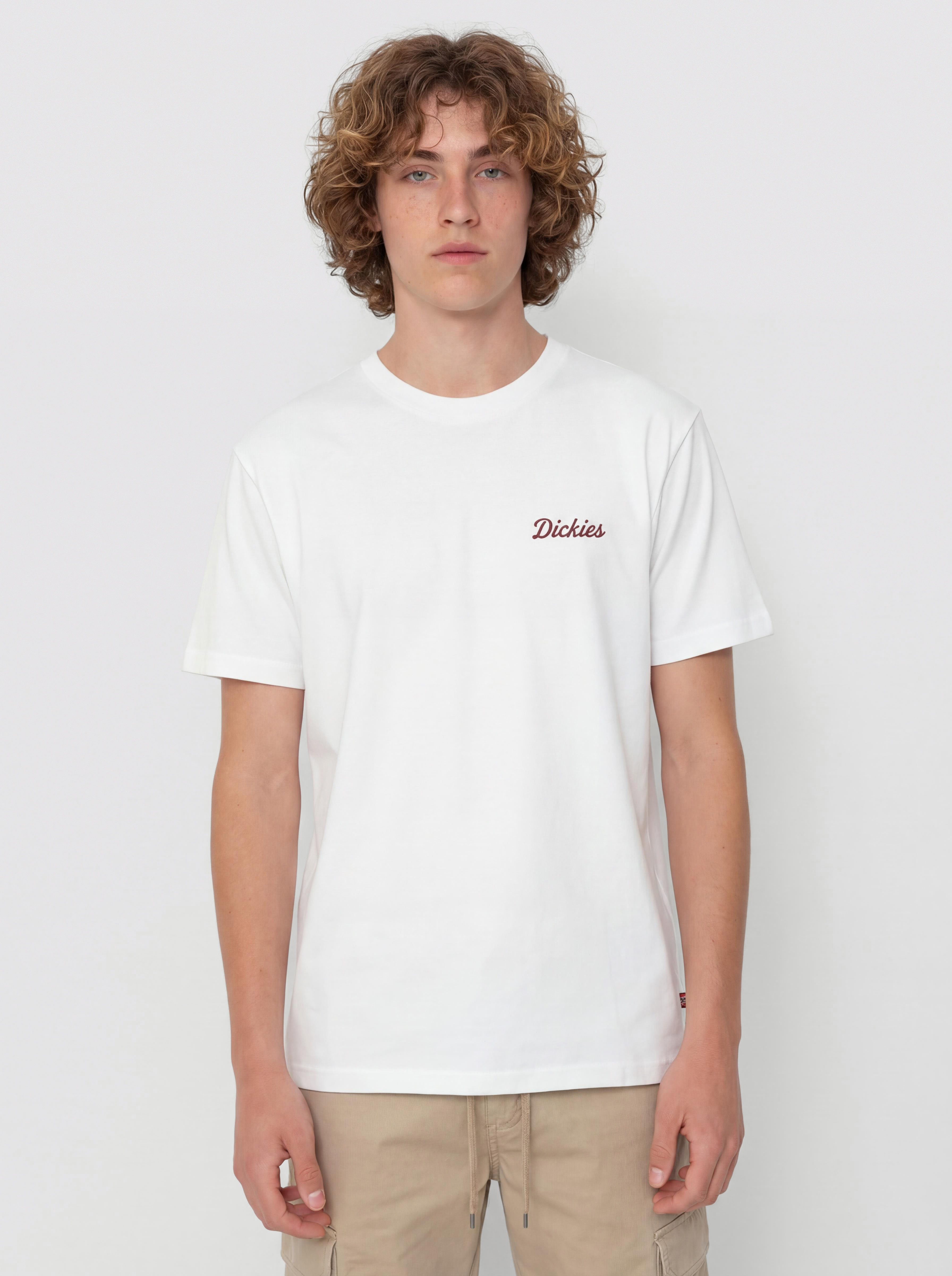 Футболка Dickies Wellsville (white)