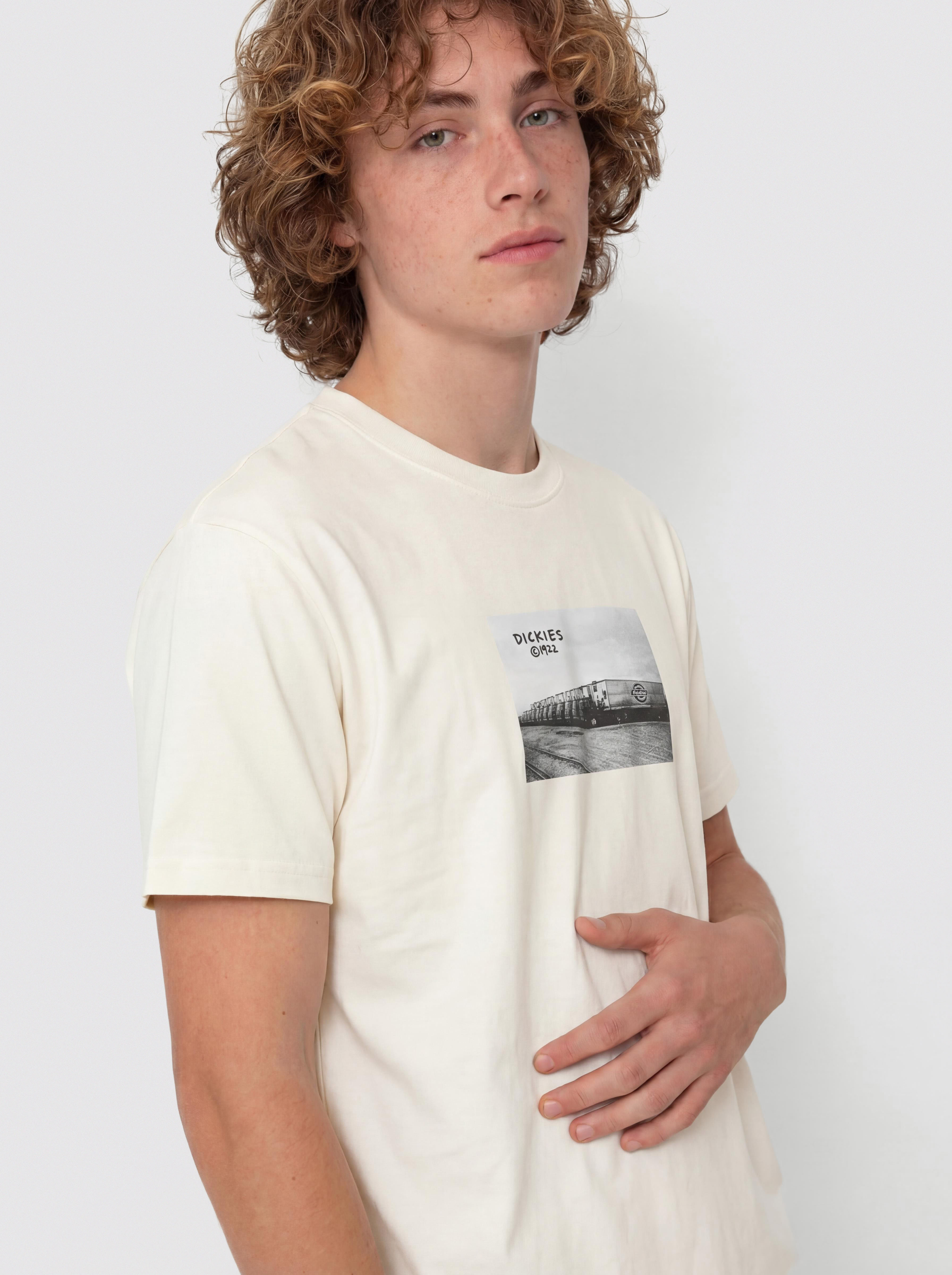 Футболка Dickies Sevier