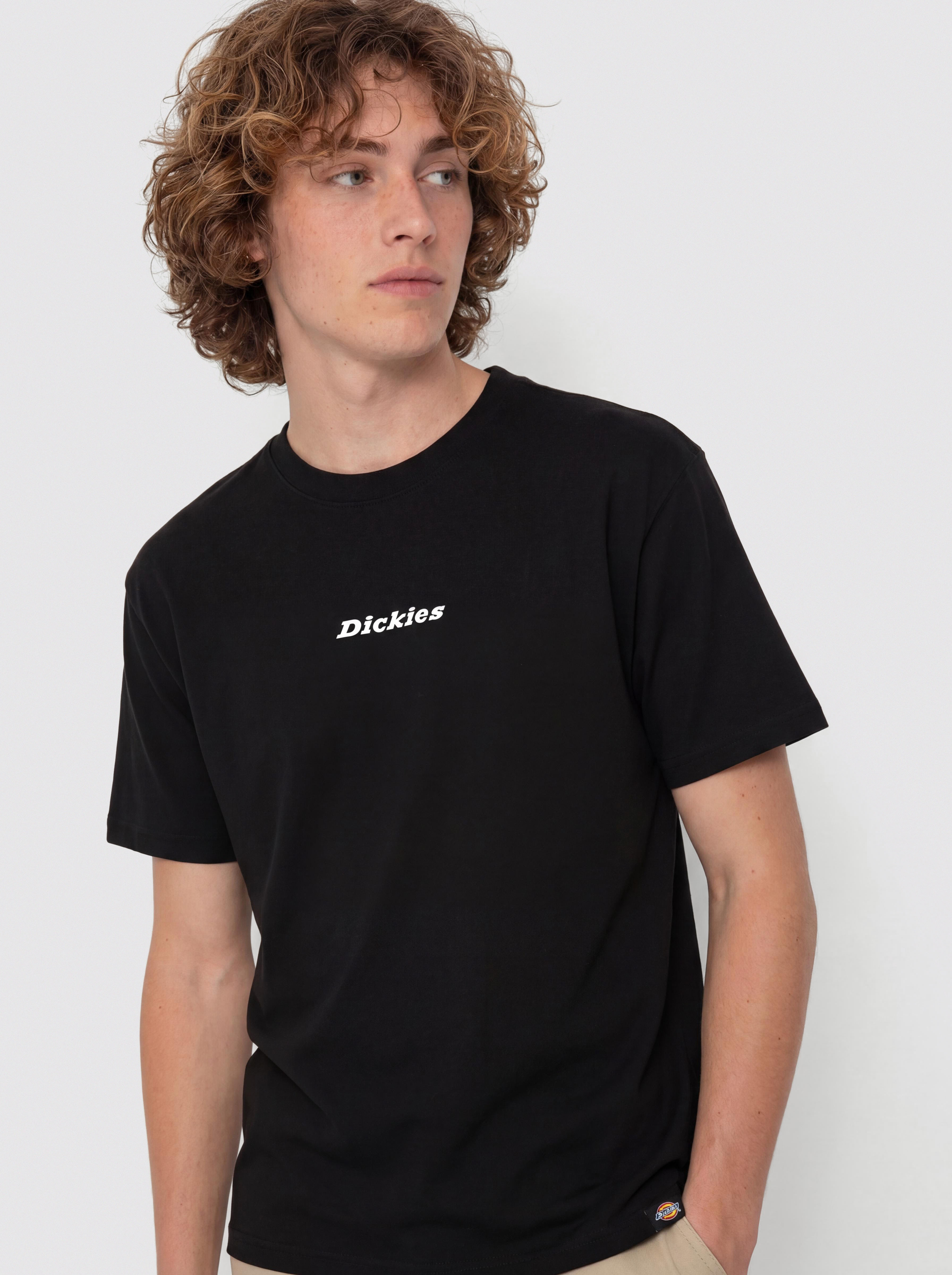 Футболка Dickies Enterprise (black)