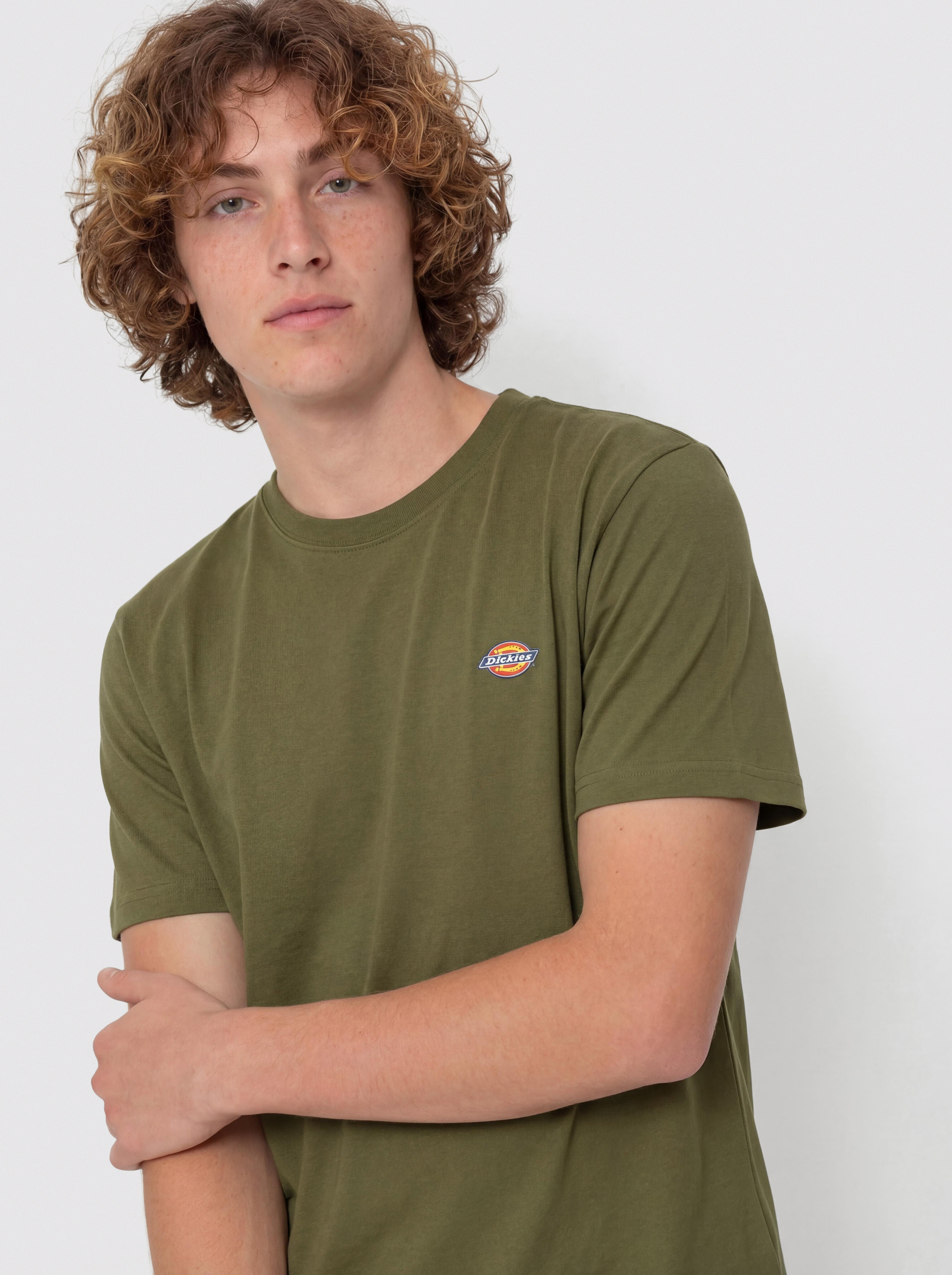 Футболка Dickies Mapleton (cypress)
