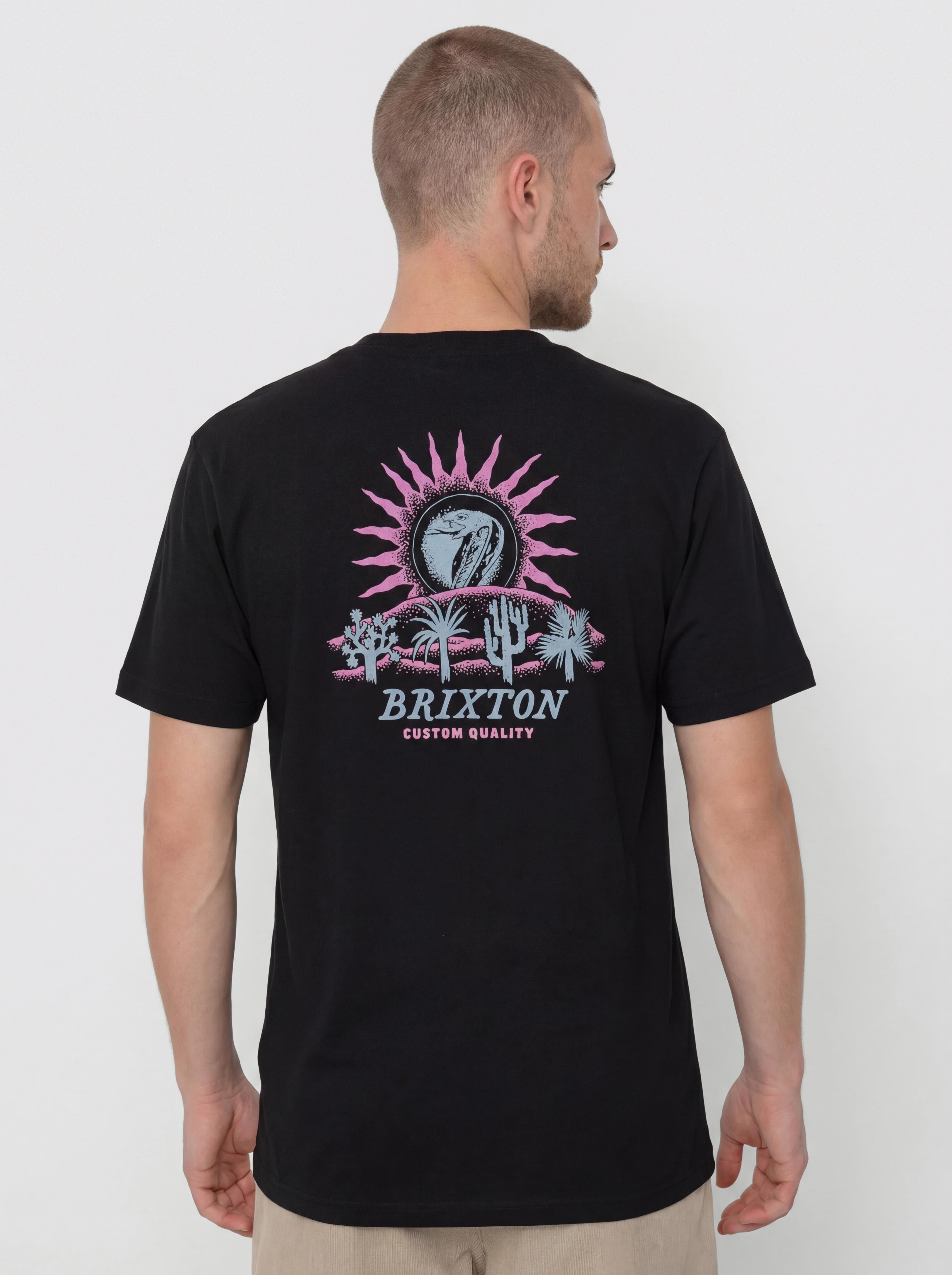 Футболка Brixton Dark Paradise Std (black)