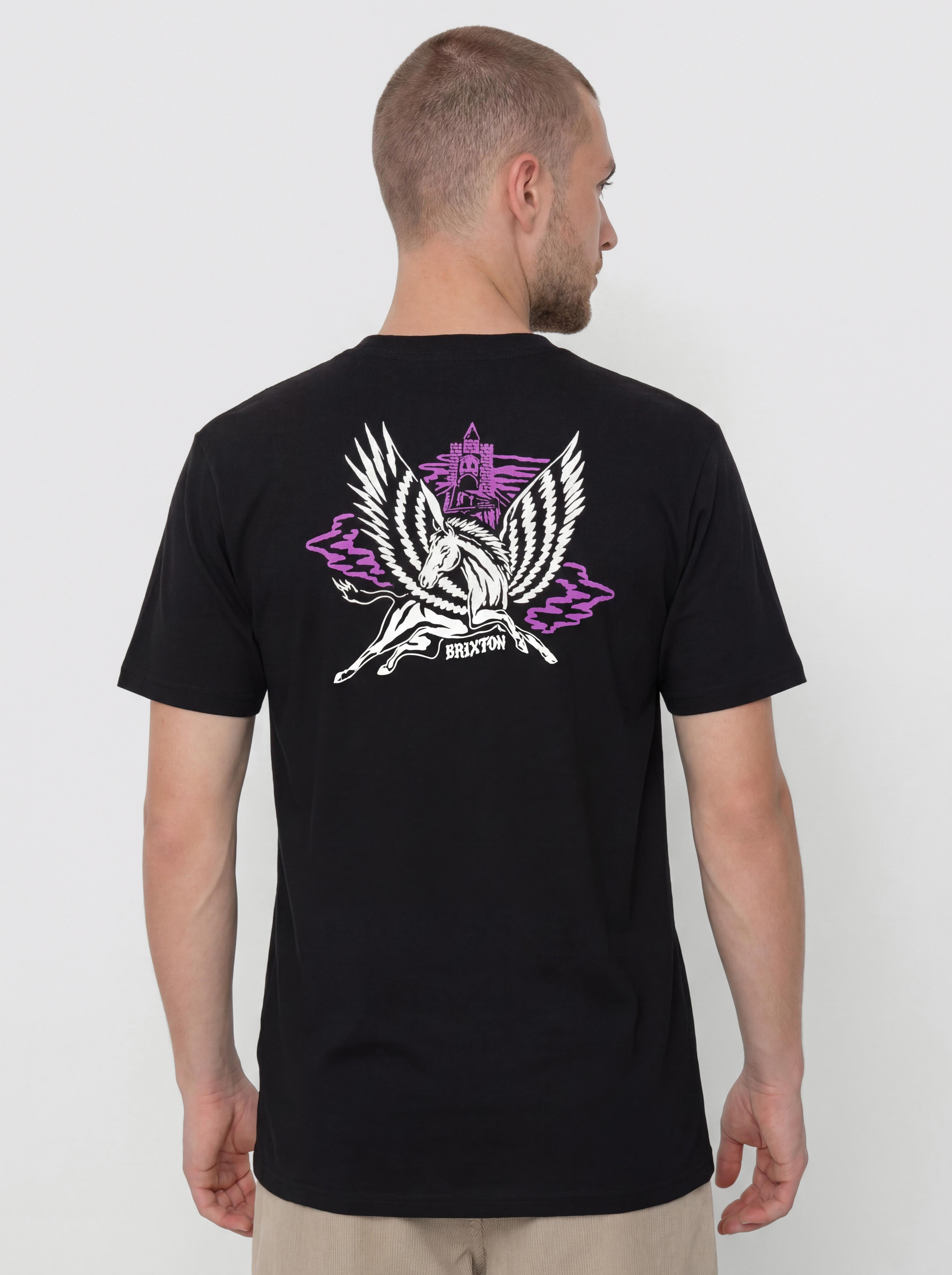 Футболка Brixton Fantasy Std (black)