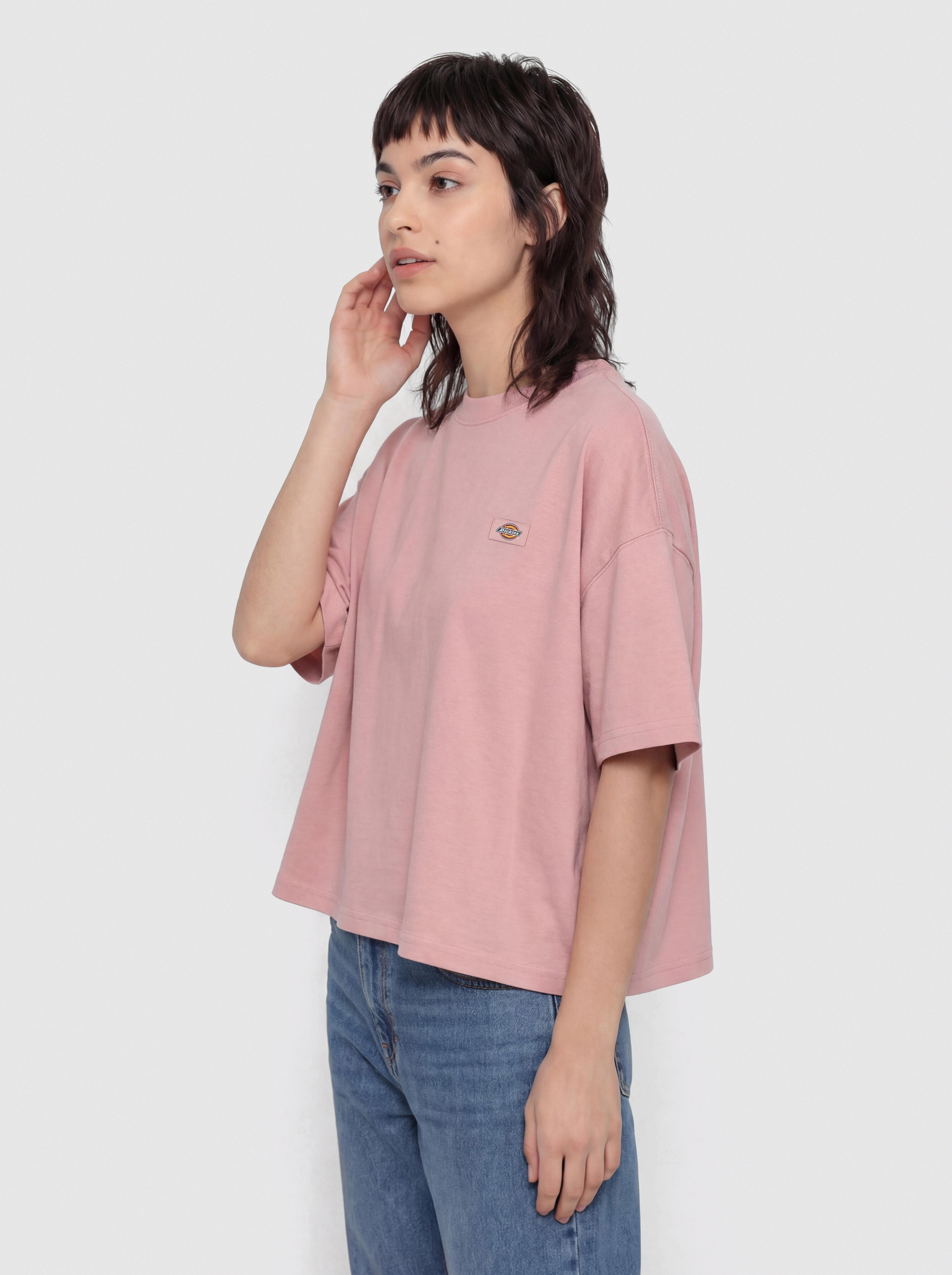 Футболка Dickies Oakport Boxy Wmn (bridal rose)