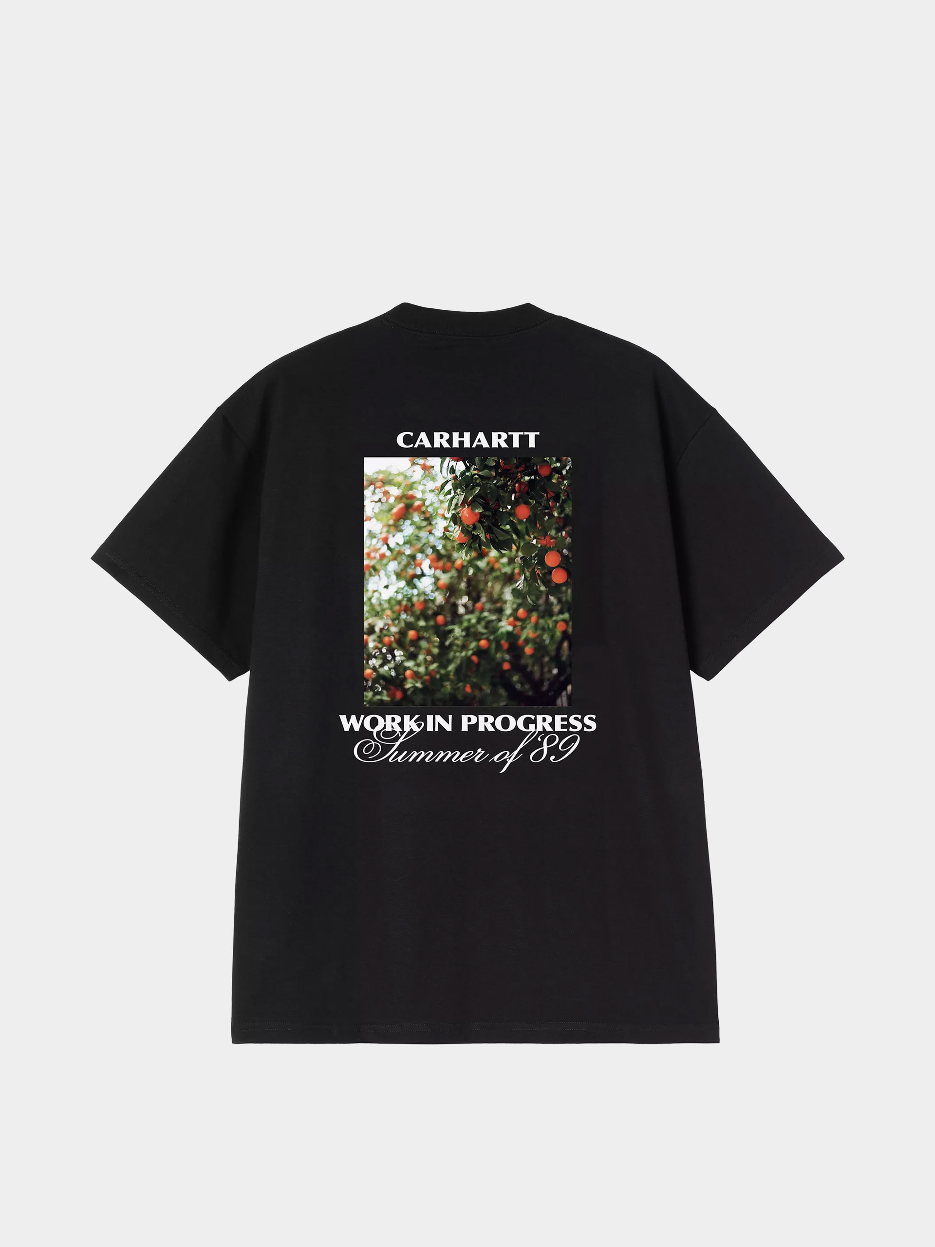 Футболка Carhartt WIP Warm Views (black)
