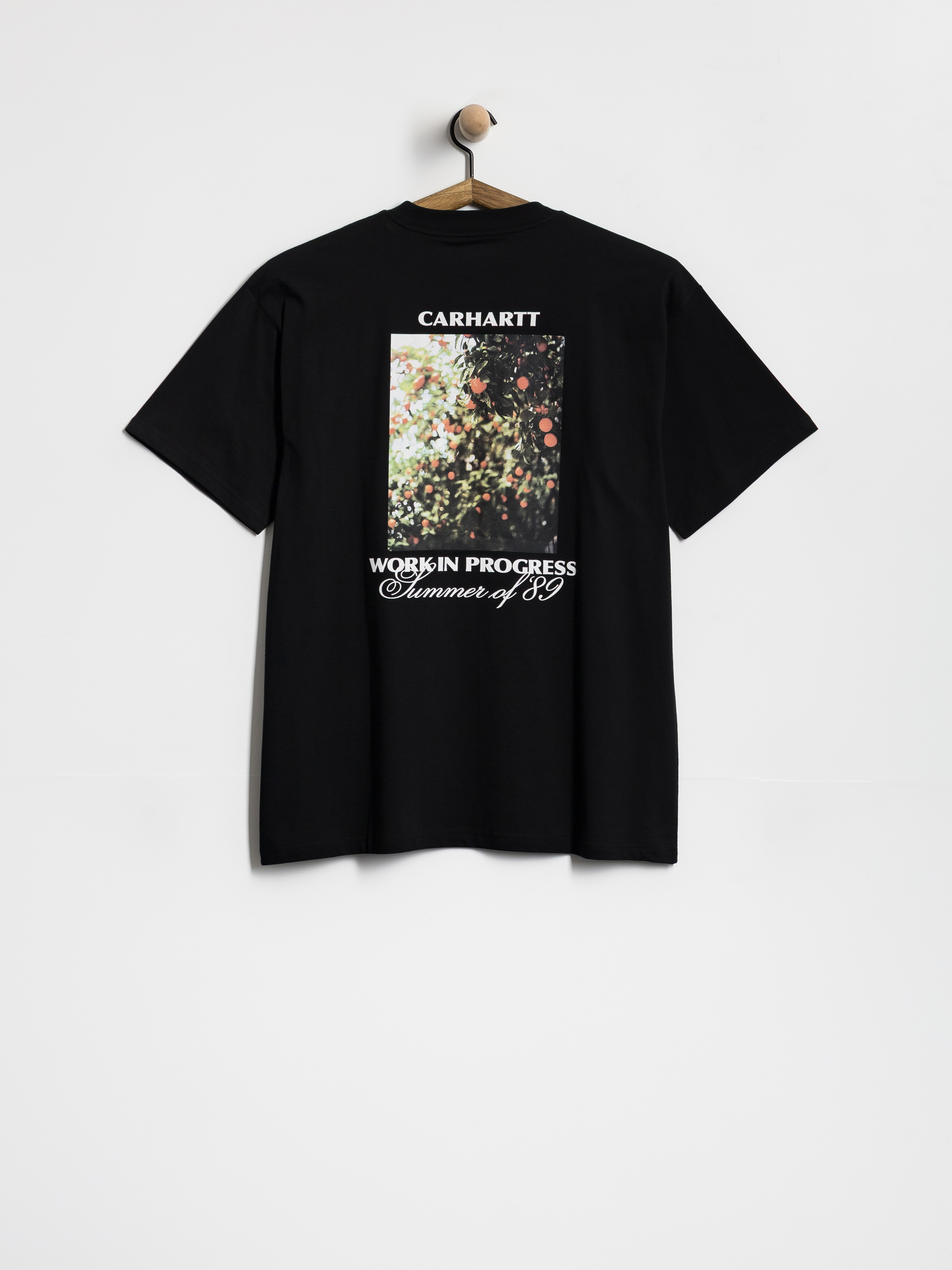 Футболка Carhartt WIP Warm Views (black)