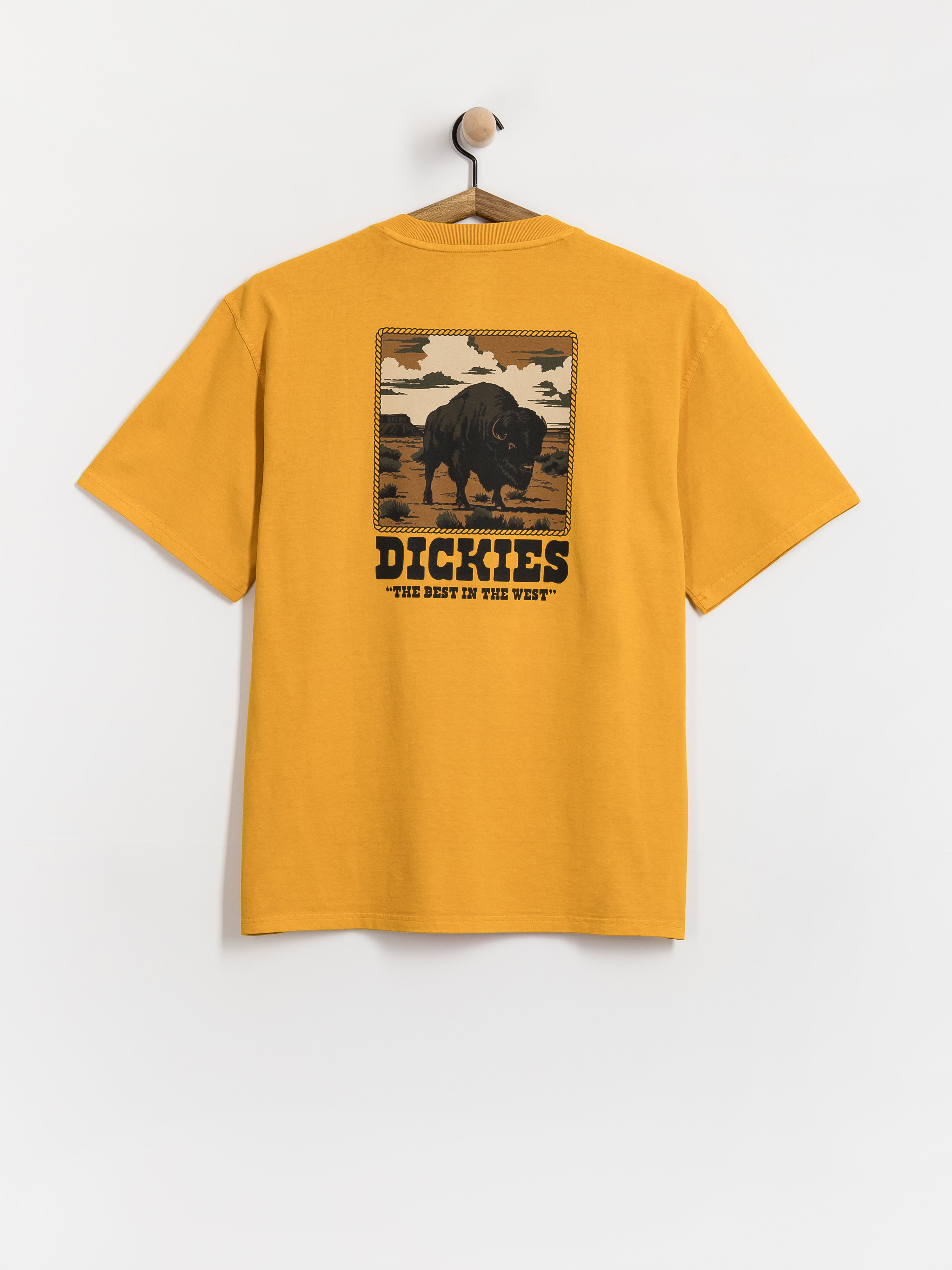 Футболка Dickies Darrtown (sunflower)