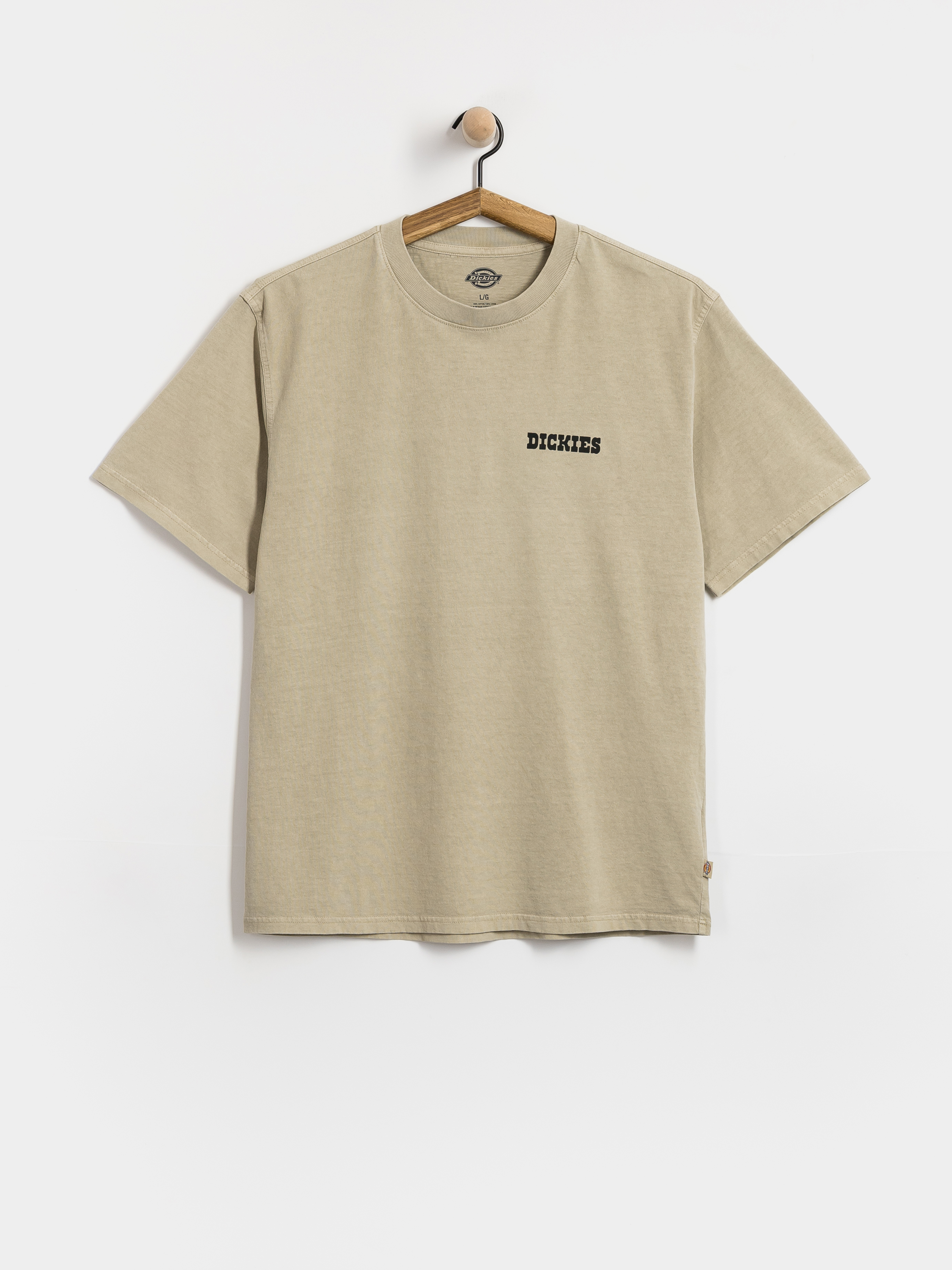 Футболка Dickies Darrtown (eucalyptus)