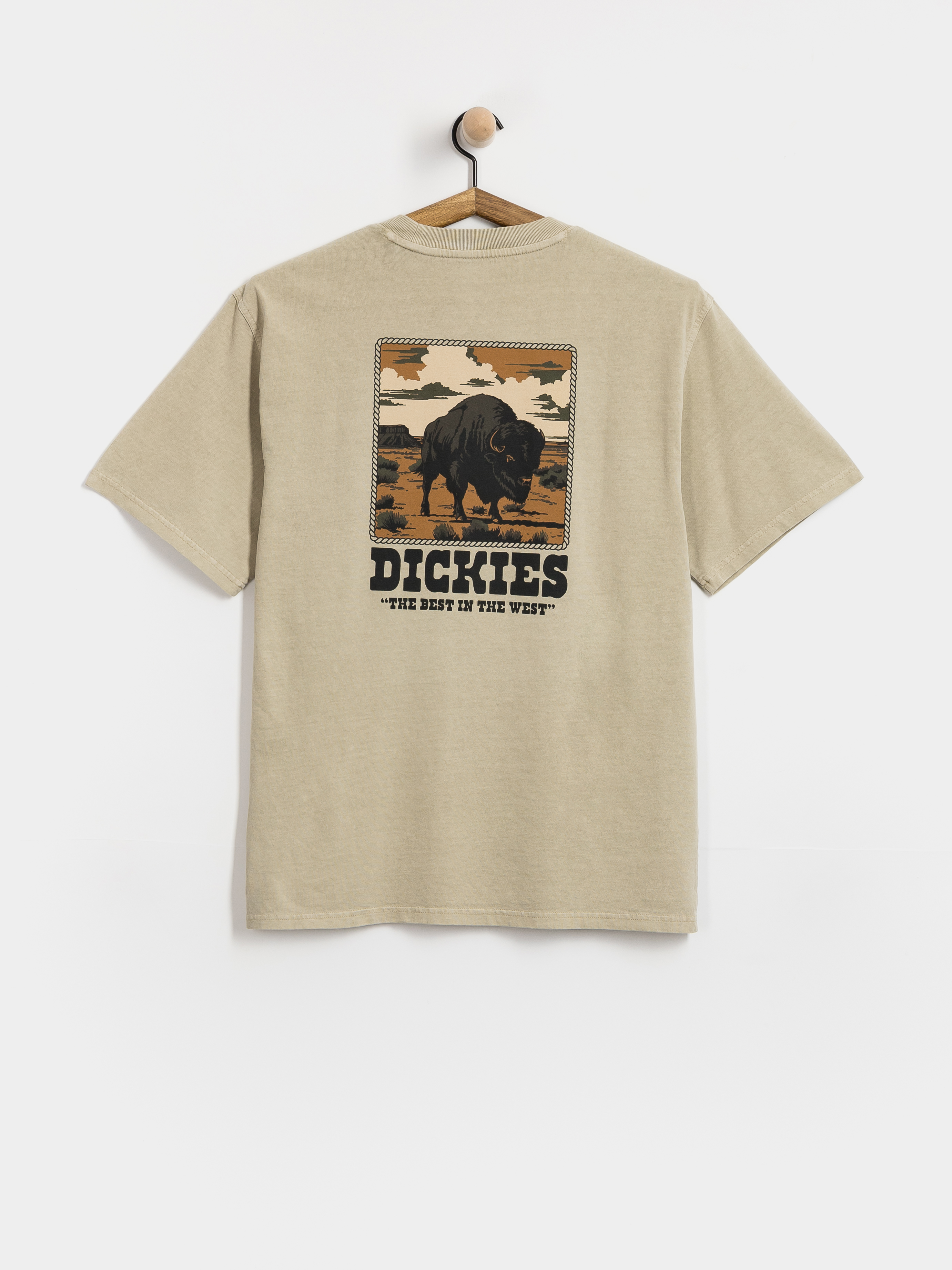u0424u0443u0442u0431u043eu043bu043au0430 Dickies Darrtown (eucalyptus)