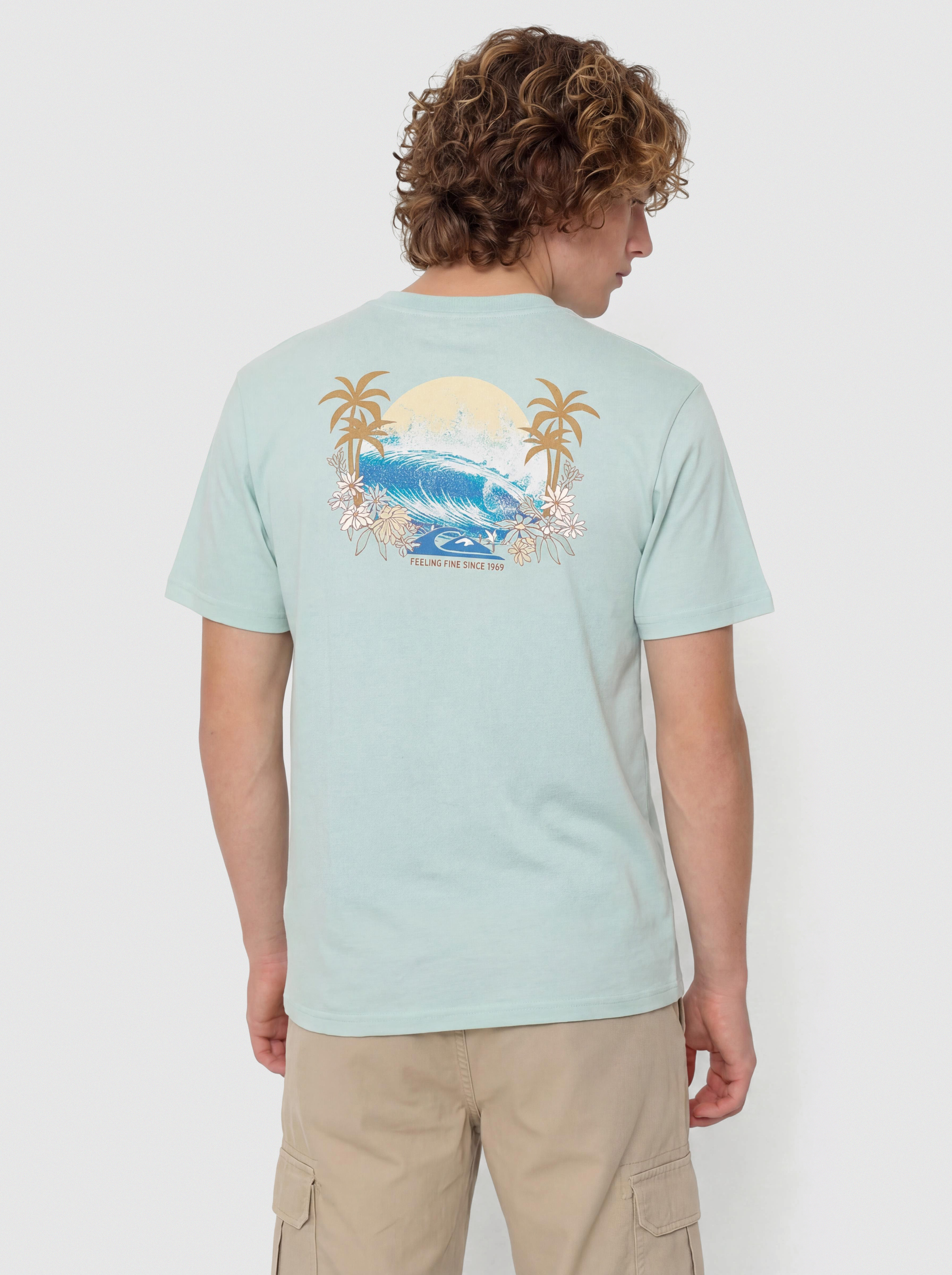 u0424u0443u0442u0431u043eu043bu043au0430 Quiksilver Ev Barrel Paradise (blue haze)