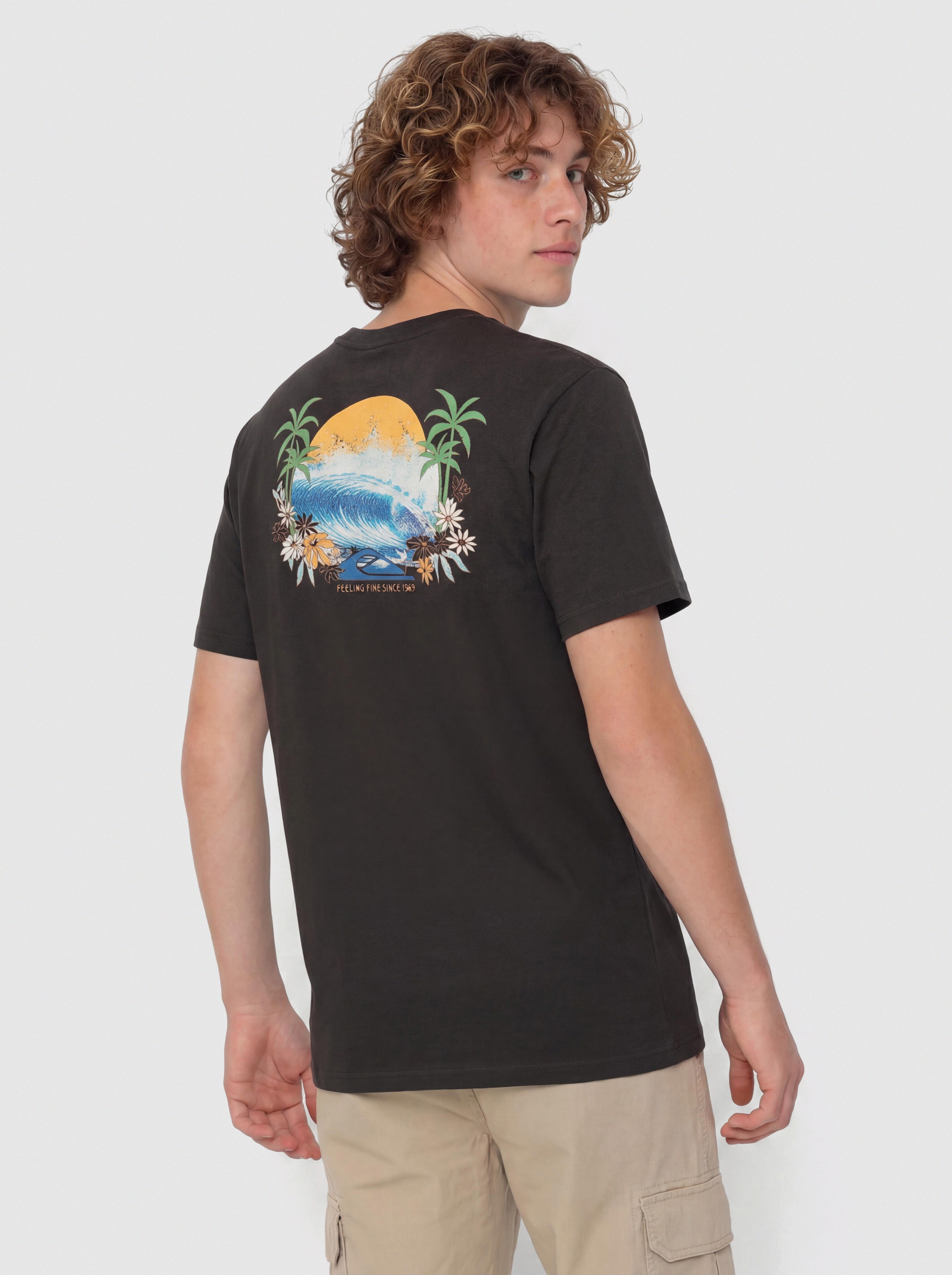 Футболка Quiksilver Ev Barrel Paradise (tarmac)