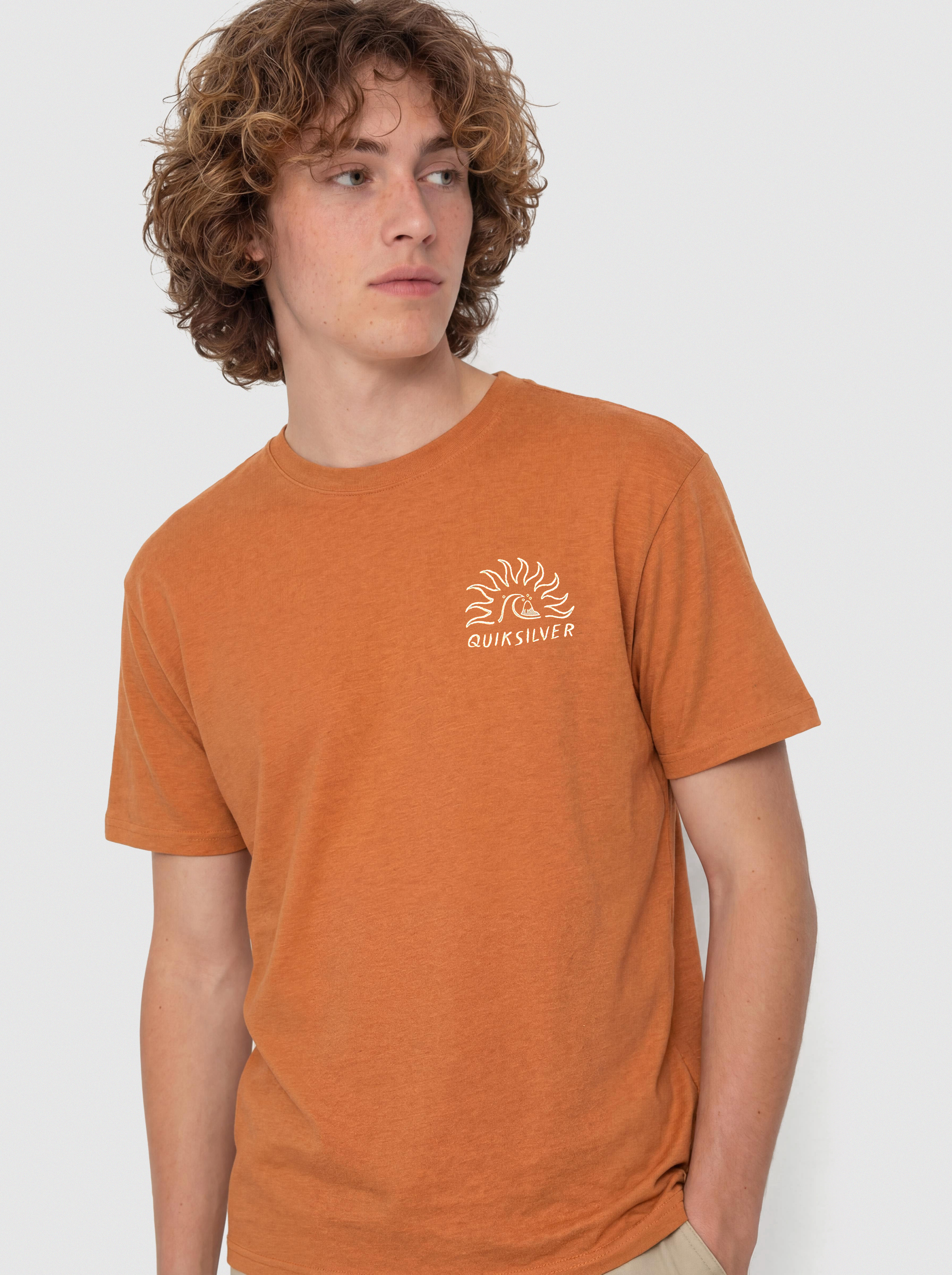 Футболка Quiksilver Freedom Swell (bran)