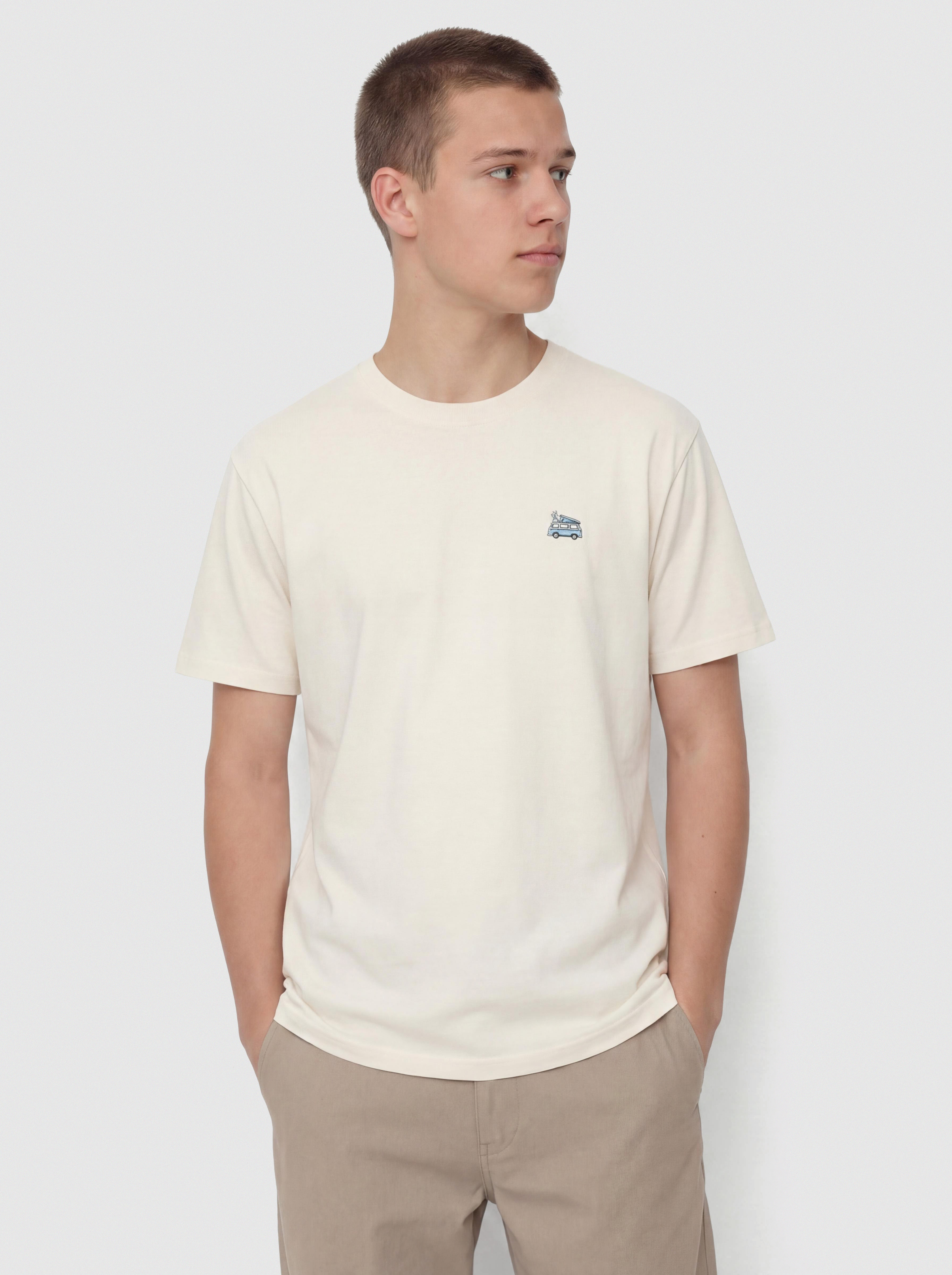 Футболка Iriedaily Smokin Van (undyed)