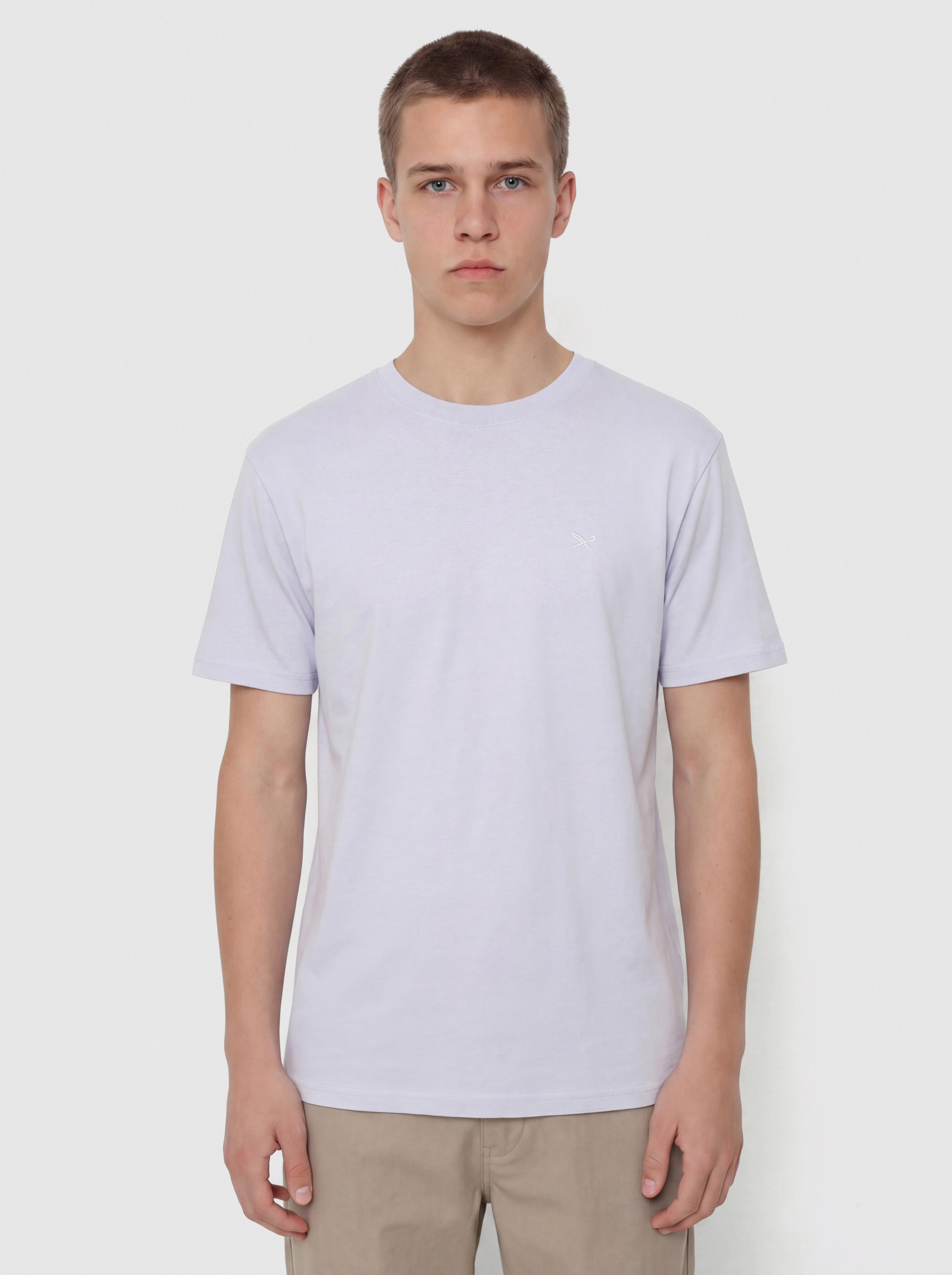 Футболка Iriedaily Mini Flag Relaxed (light lilac)