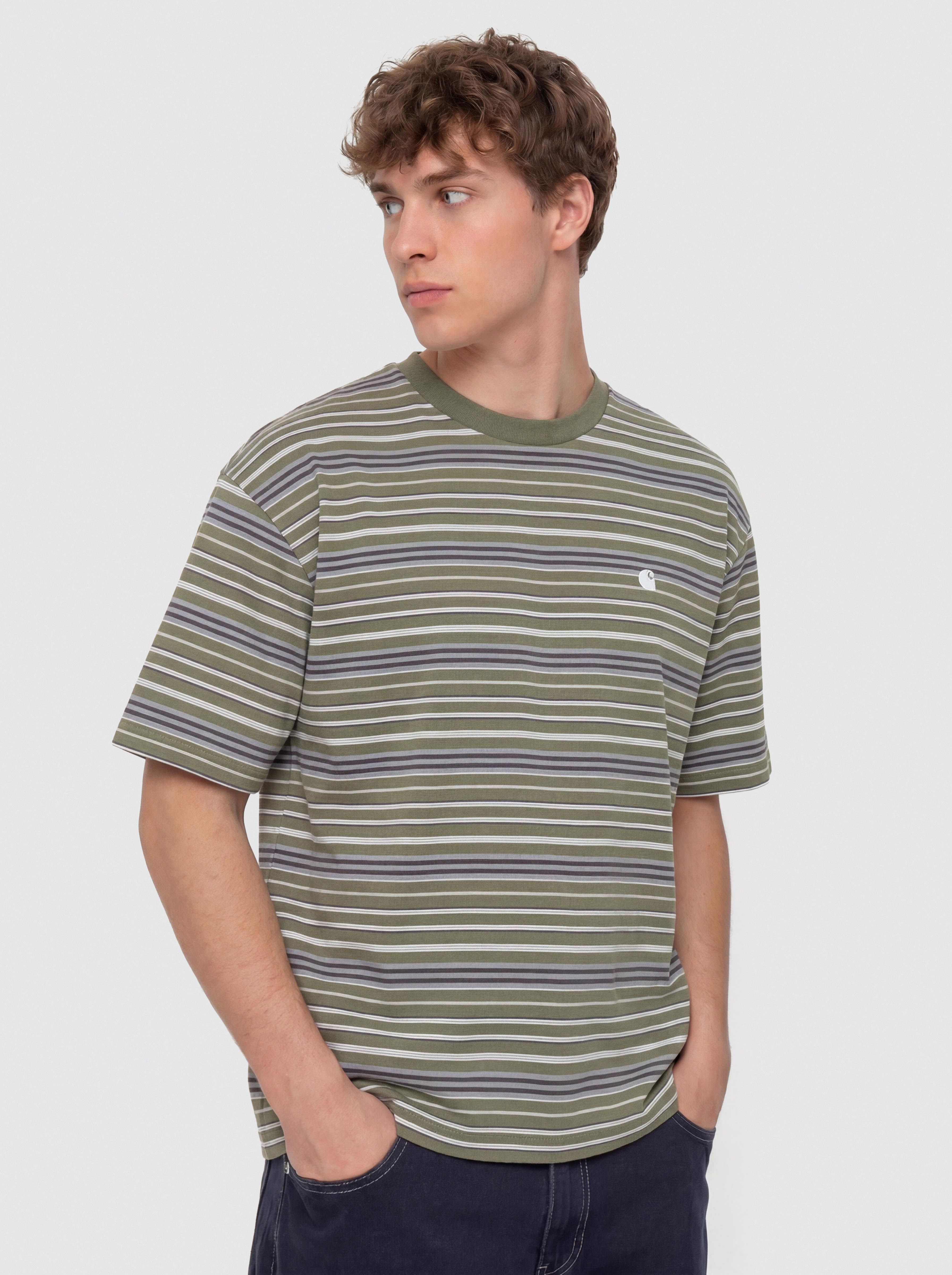 Футболка Carhartt WIP Zane (zane stripe/dollar green)