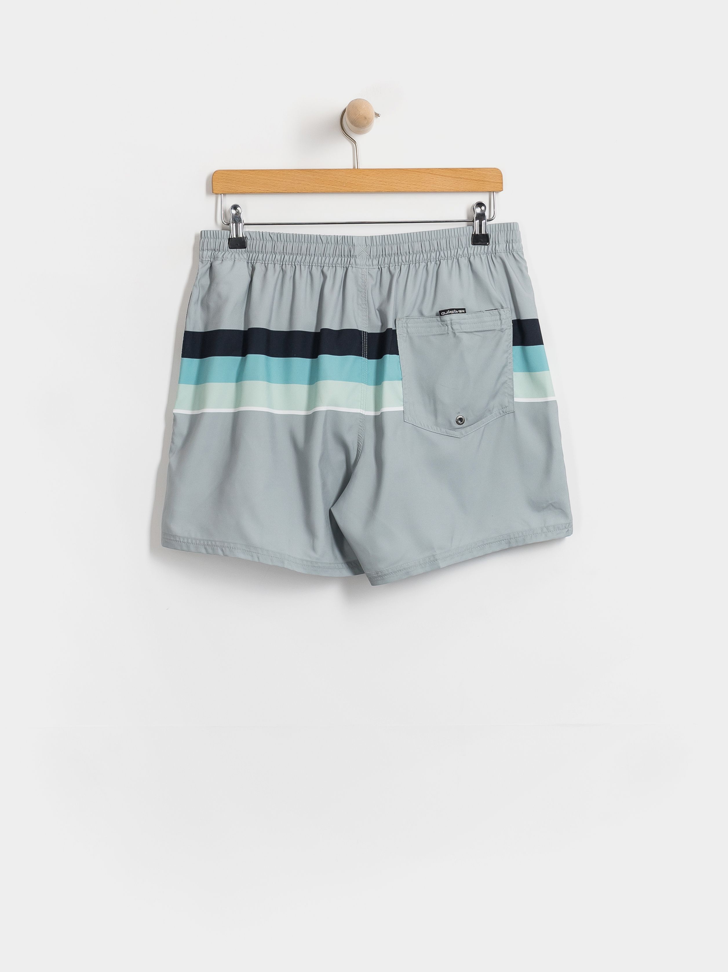 Пляжні шорти Quiksilver Everyday Printed Volley 15 (quarry outside stripe)
