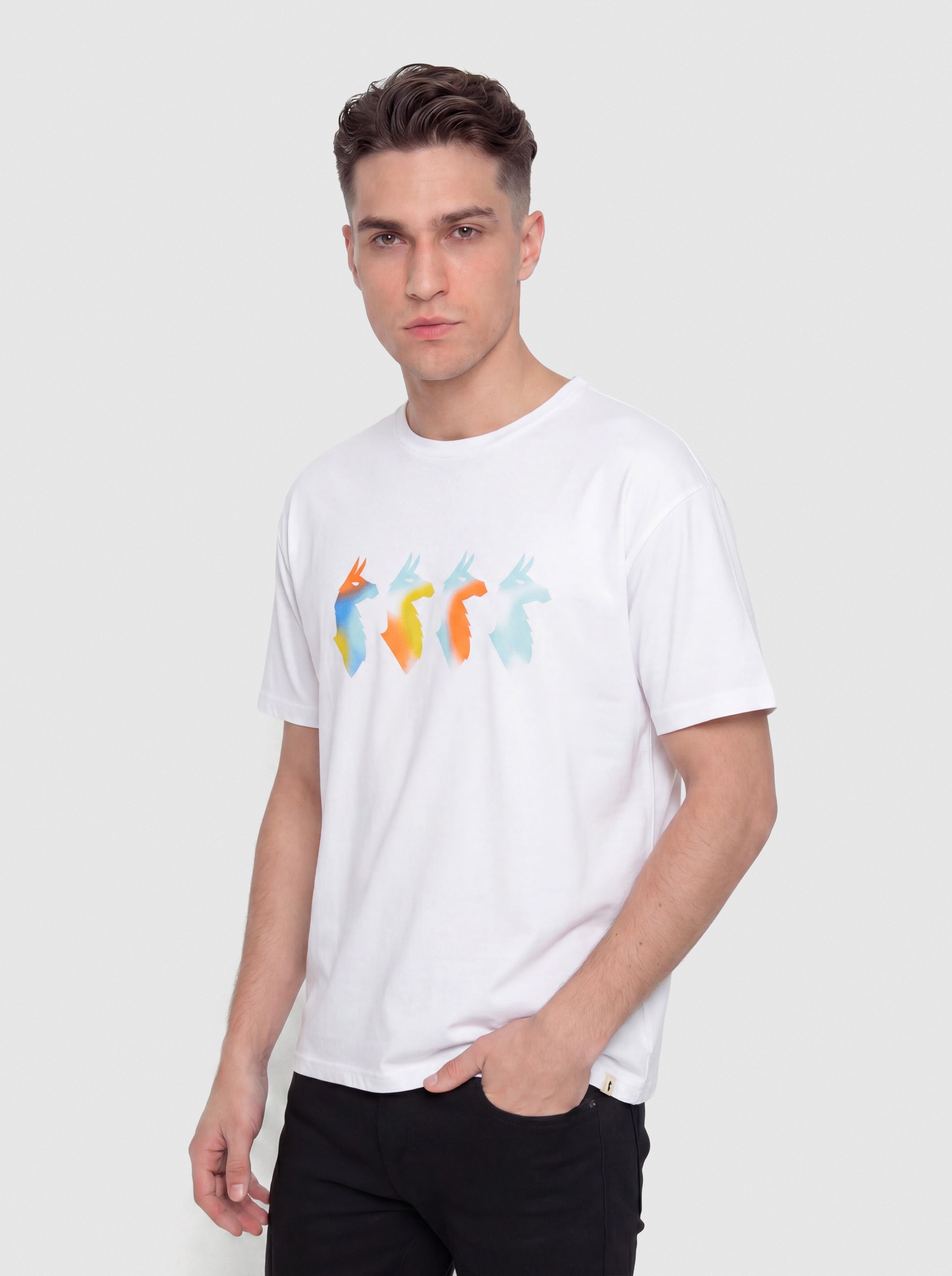 Футболка Cotopaxi Cuatro Bitmap (white)