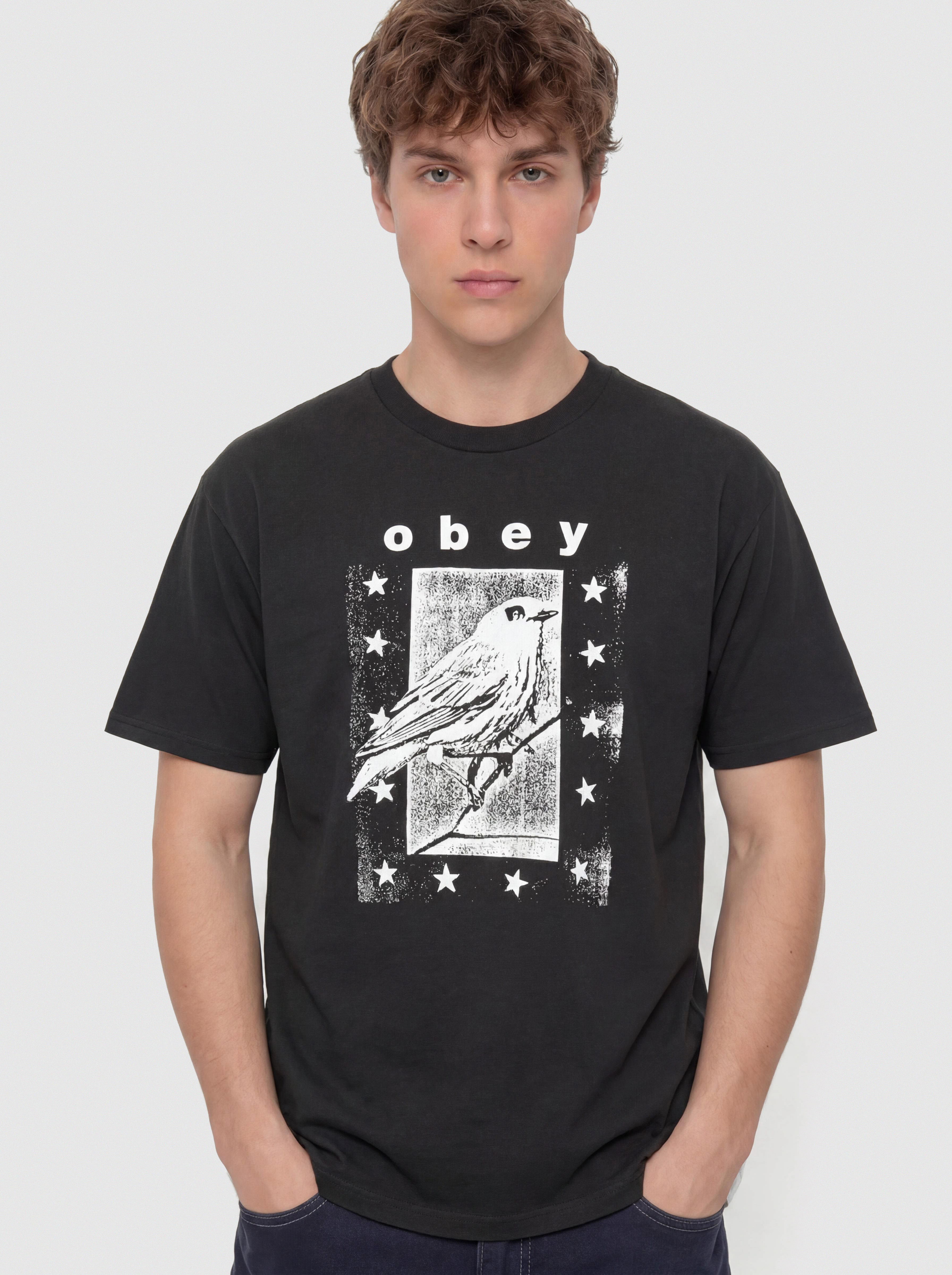 Футболка OBEY Fly Away (vintage black)