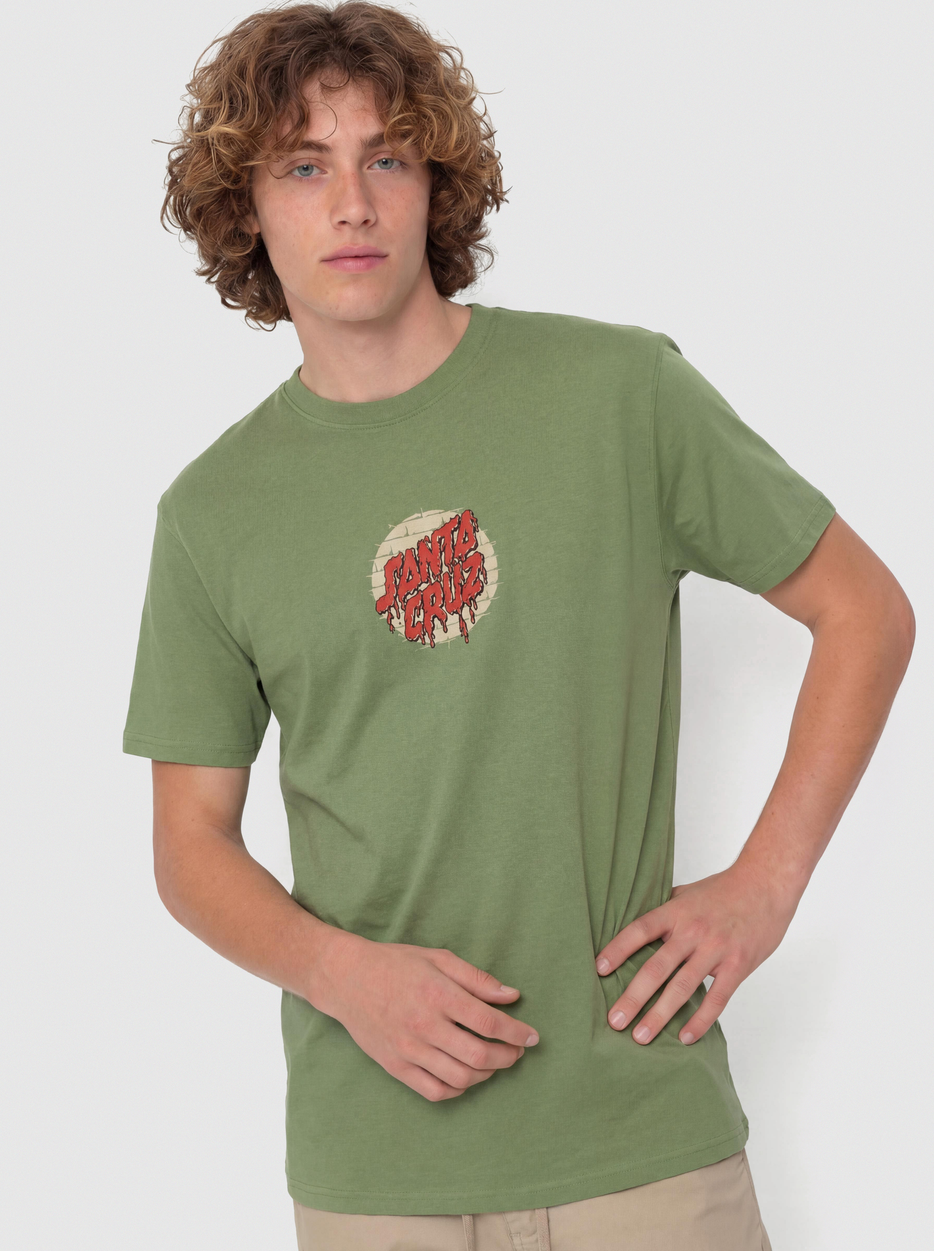 Футболка Santa Cruz Delfino Spotlight Fnt (dill green)