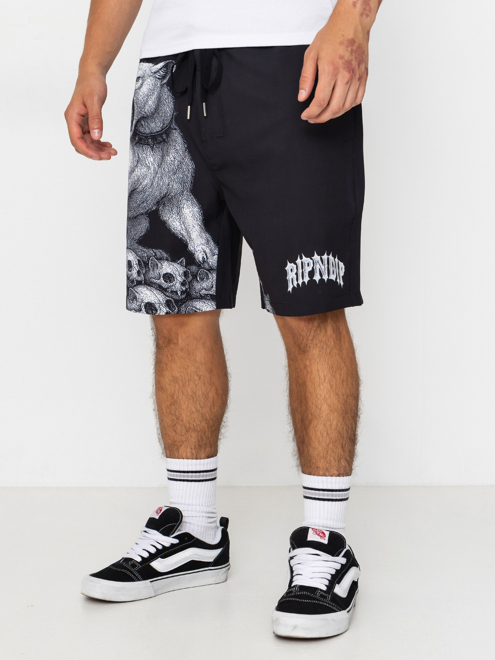 Шорти RipNDip Wasteland Swim (black)