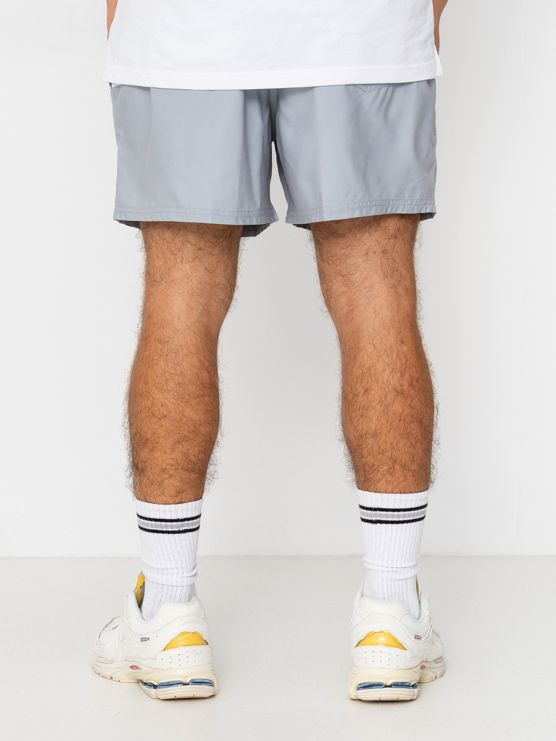 Пляжні шорти Quiksilver Everyday Printed Volley 15 (quarry outside stripe)