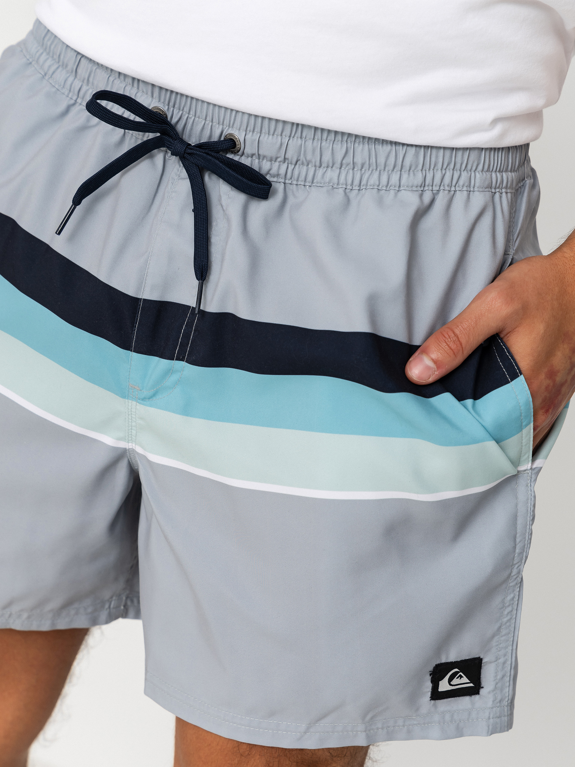 Пляжні шорти Quiksilver Everyday Printed Volley 15 (quarry outside stripe)