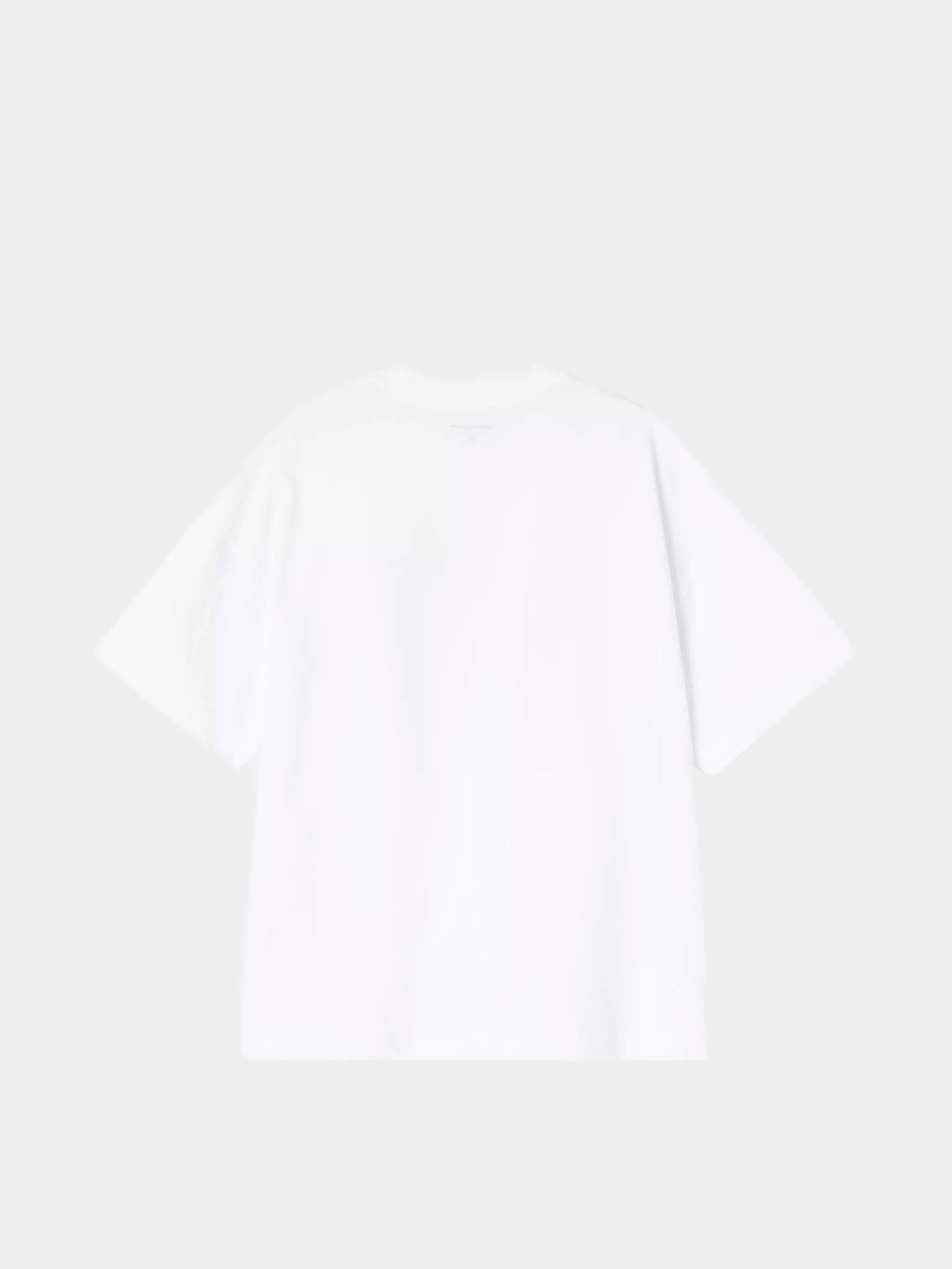Футболка Carhartt WIP Pennon (white)