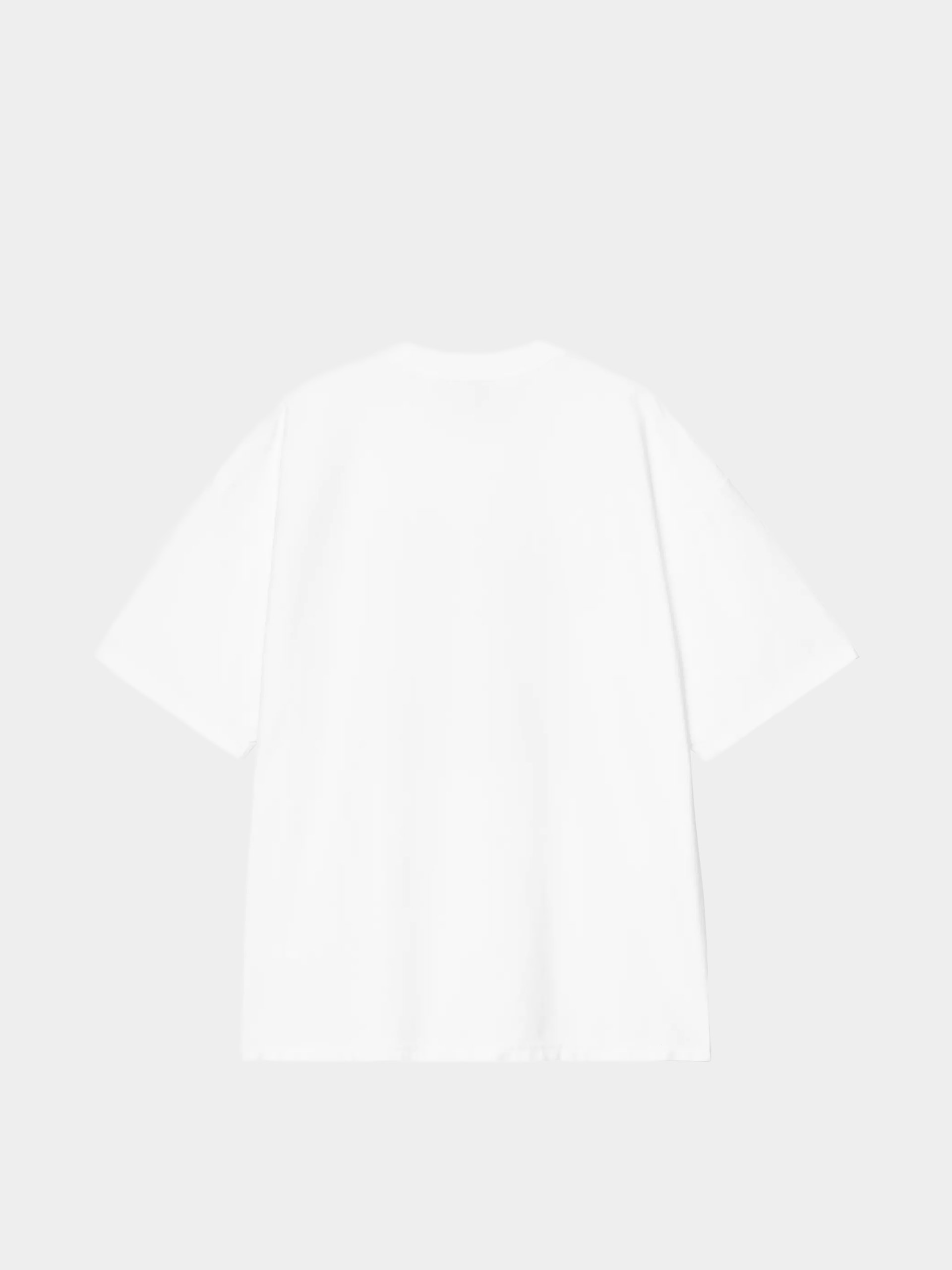 Футболка Carhartt WIP 1989 Winners (white/heavy stone wash)