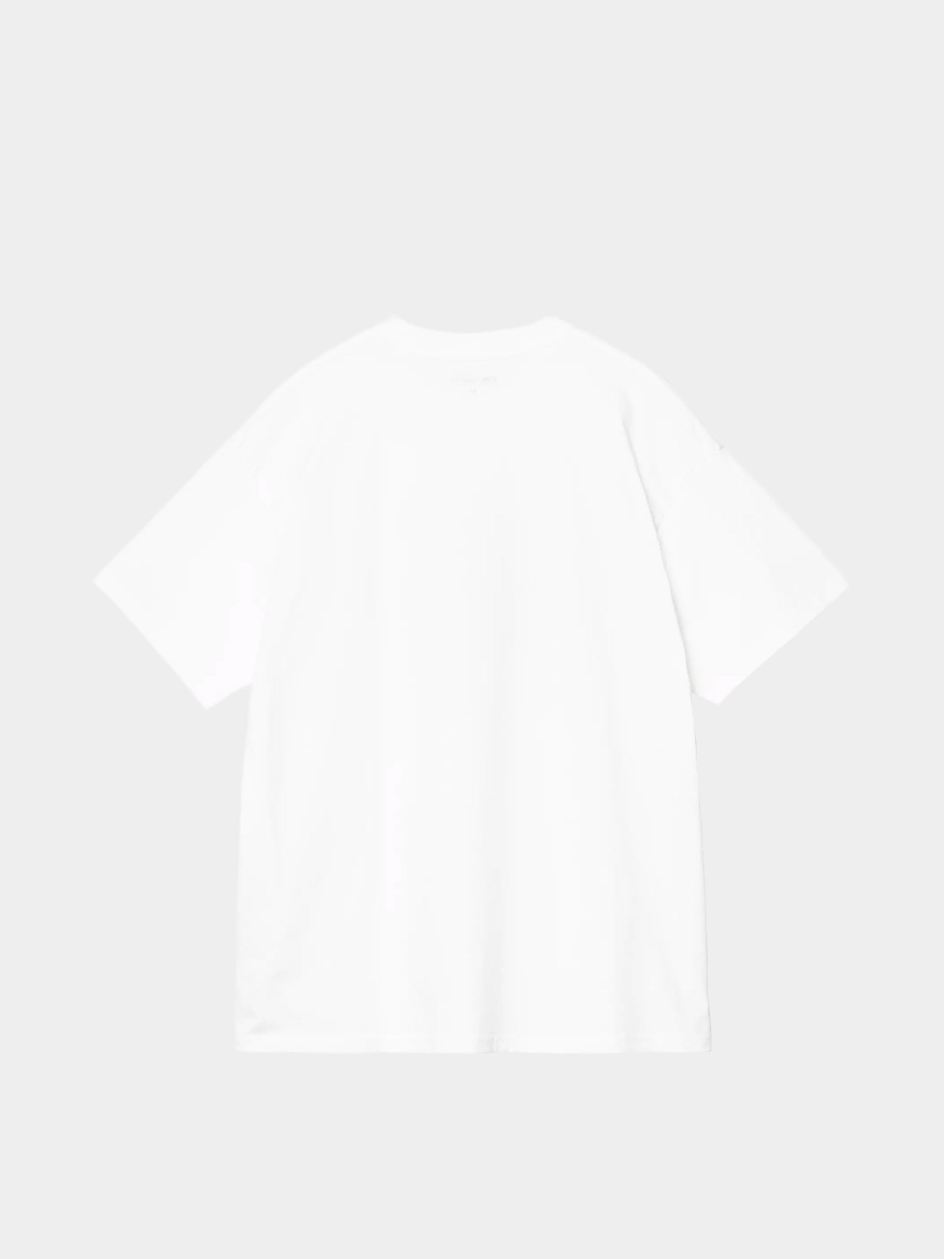 Футболка Carhartt WIP Entrance (white)