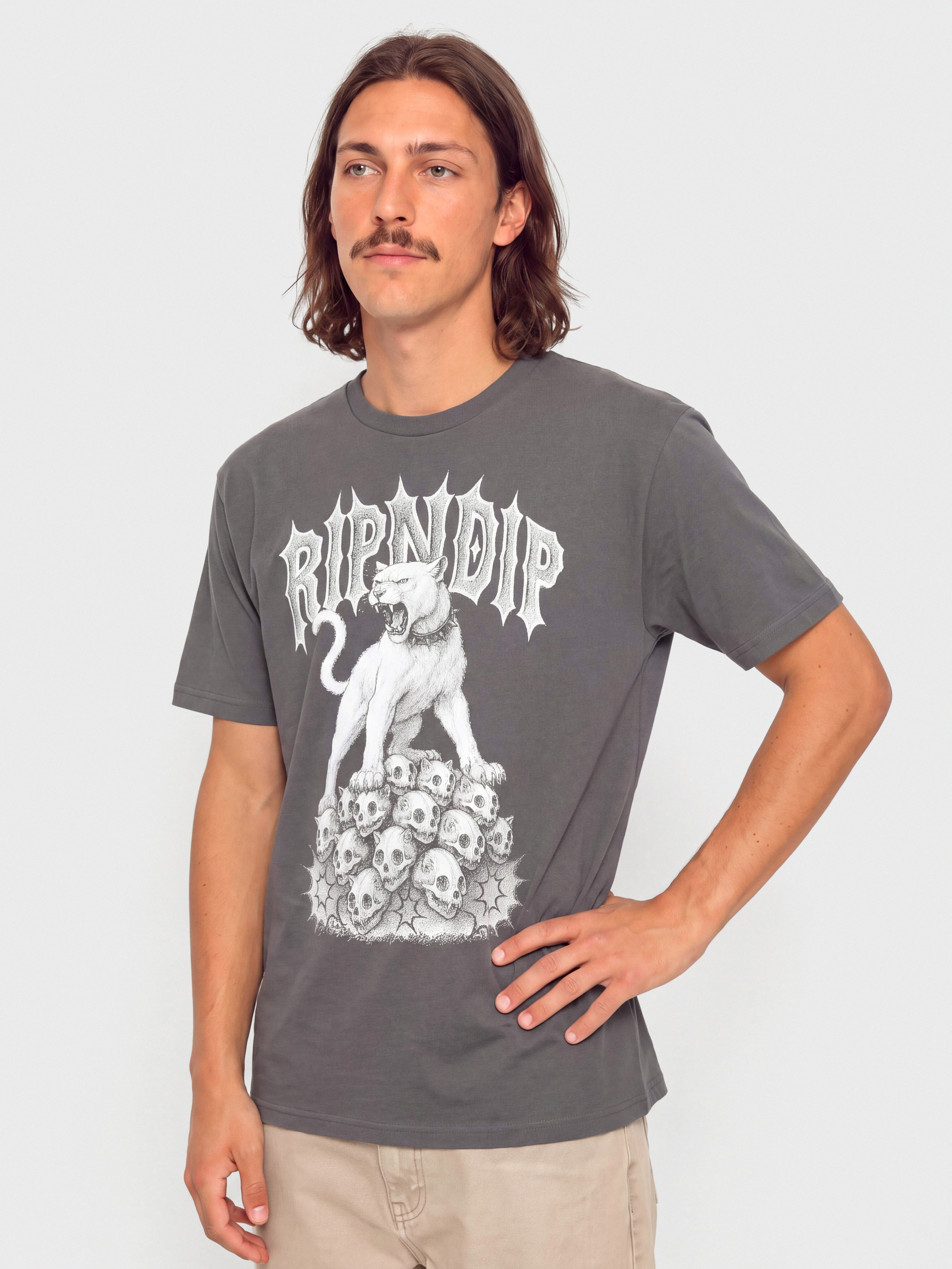 Футболка RipNDip Wasteland (charcoal)