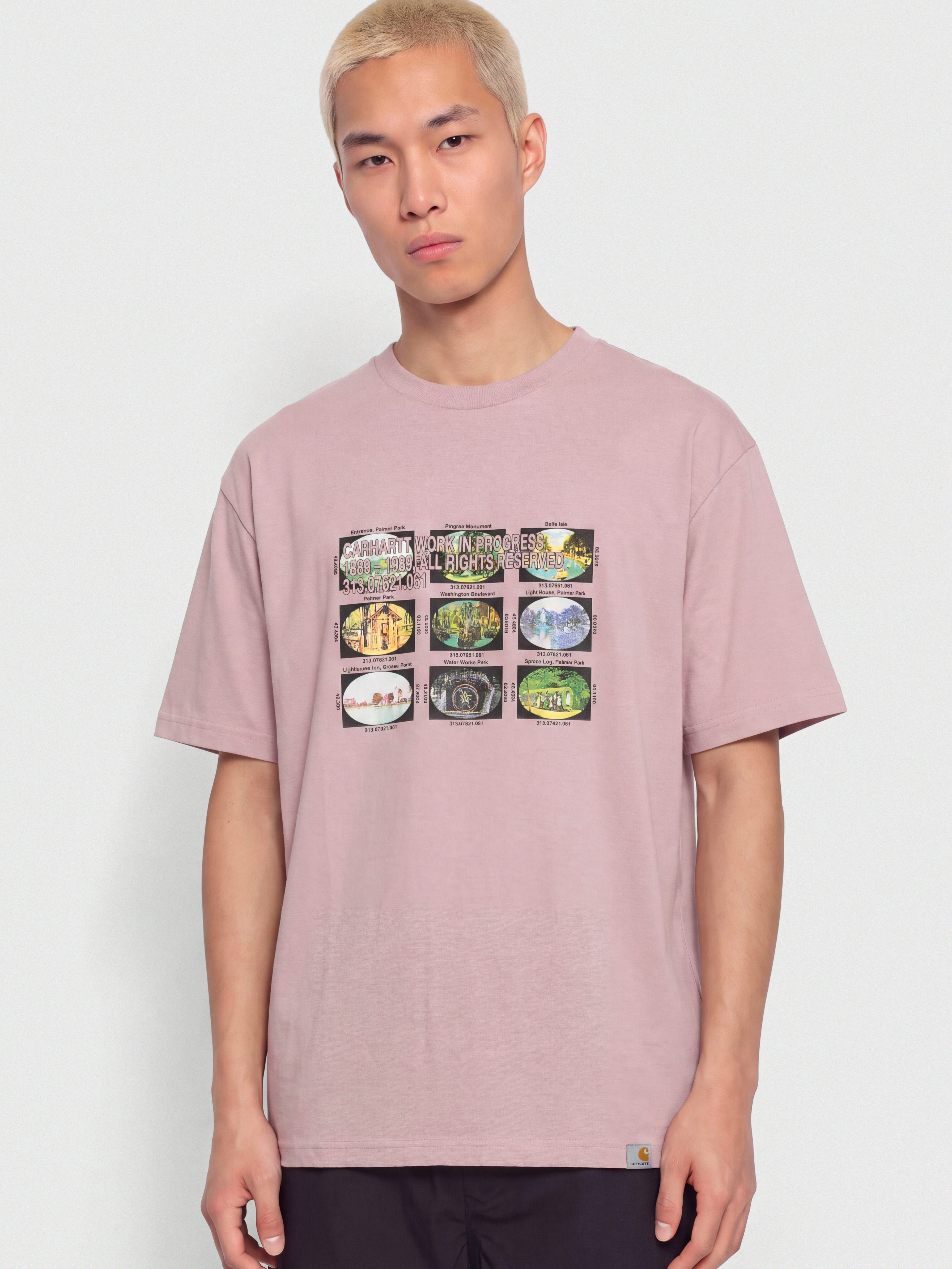 Футболка Carhartt WIP Coordinates (hortensia)
