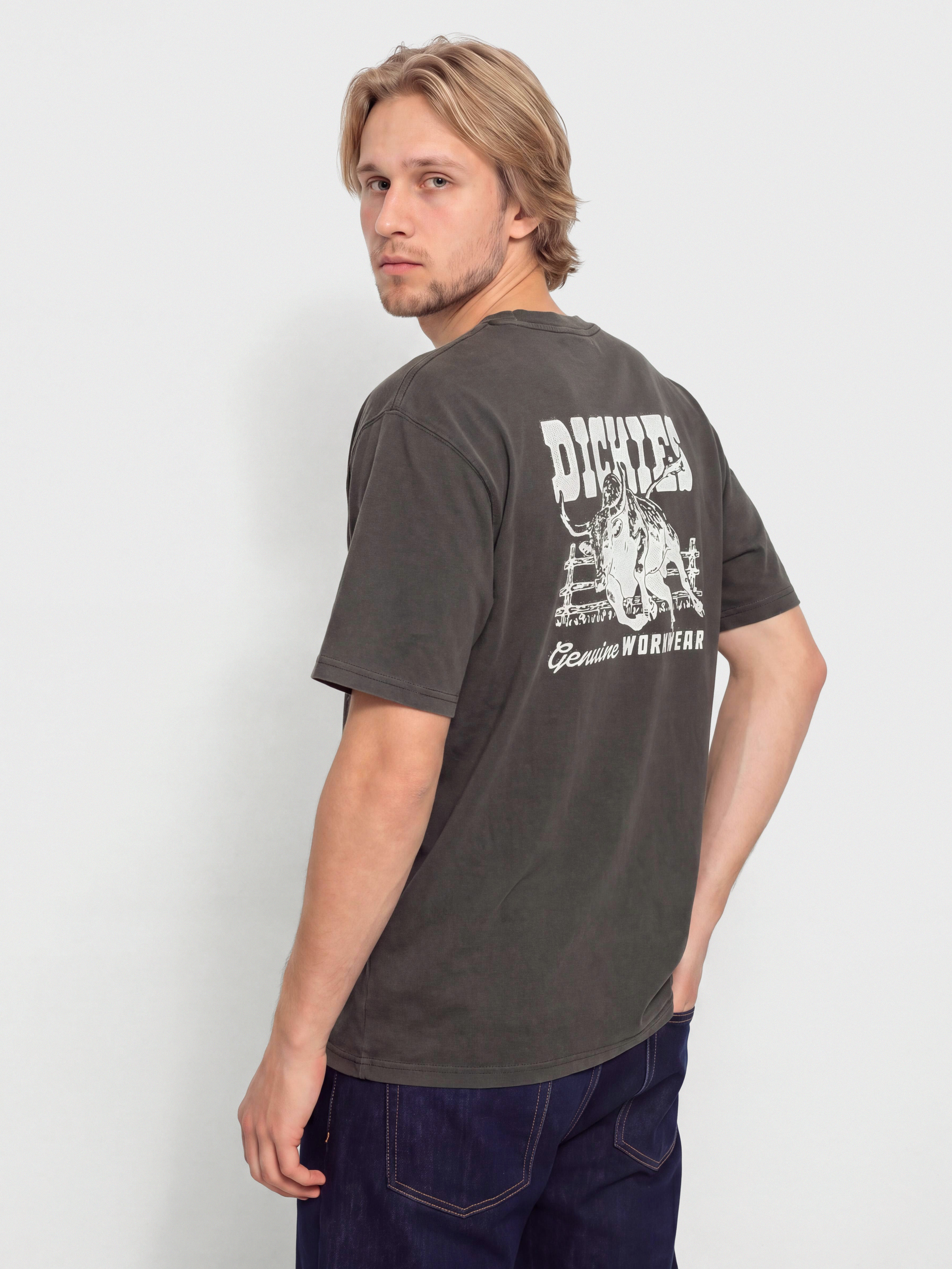Футболка Dickies Buchtell (black)