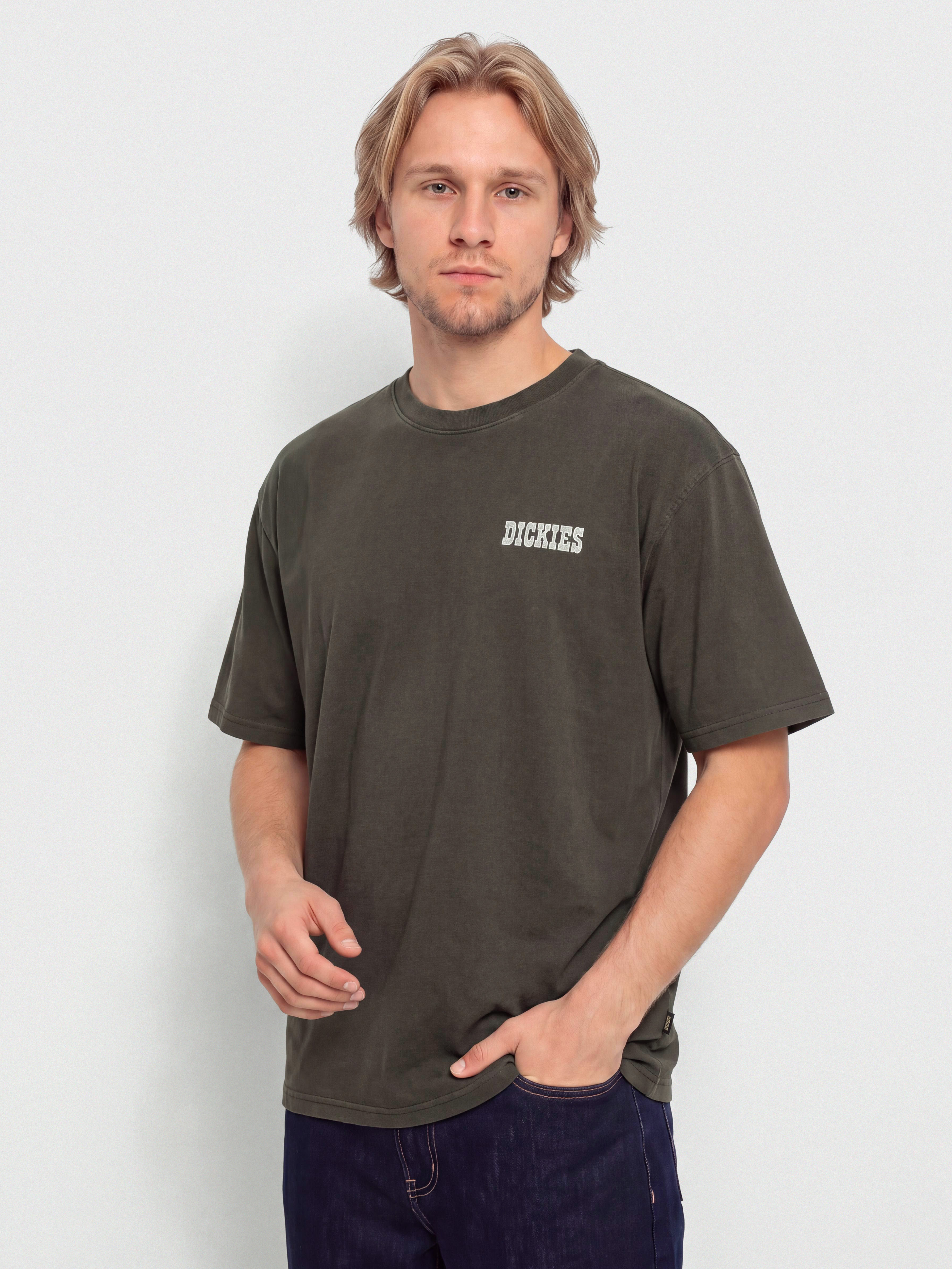 Футболка Dickies Buchtell (black)