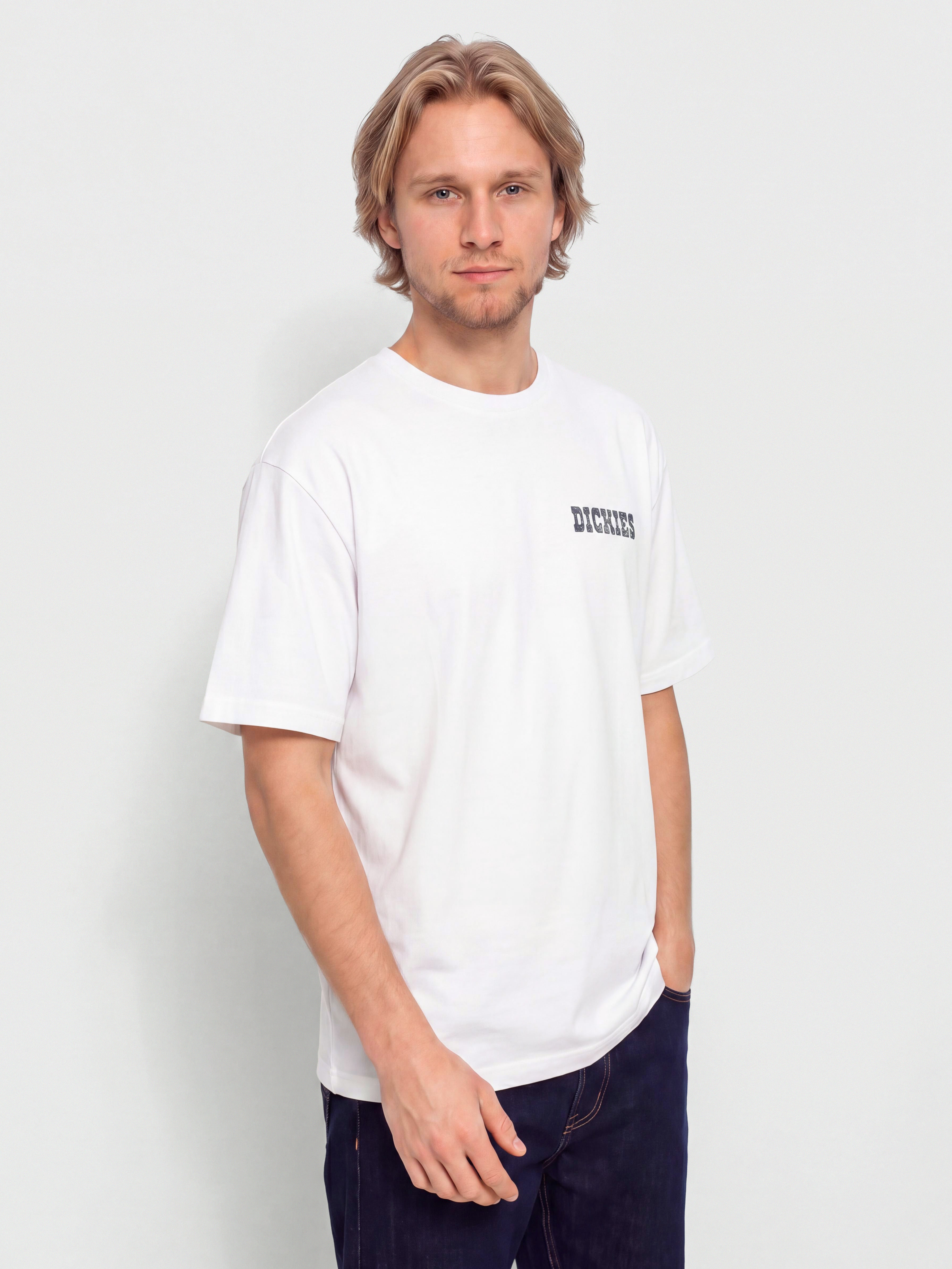 Футболка Dickies Plain City (white)