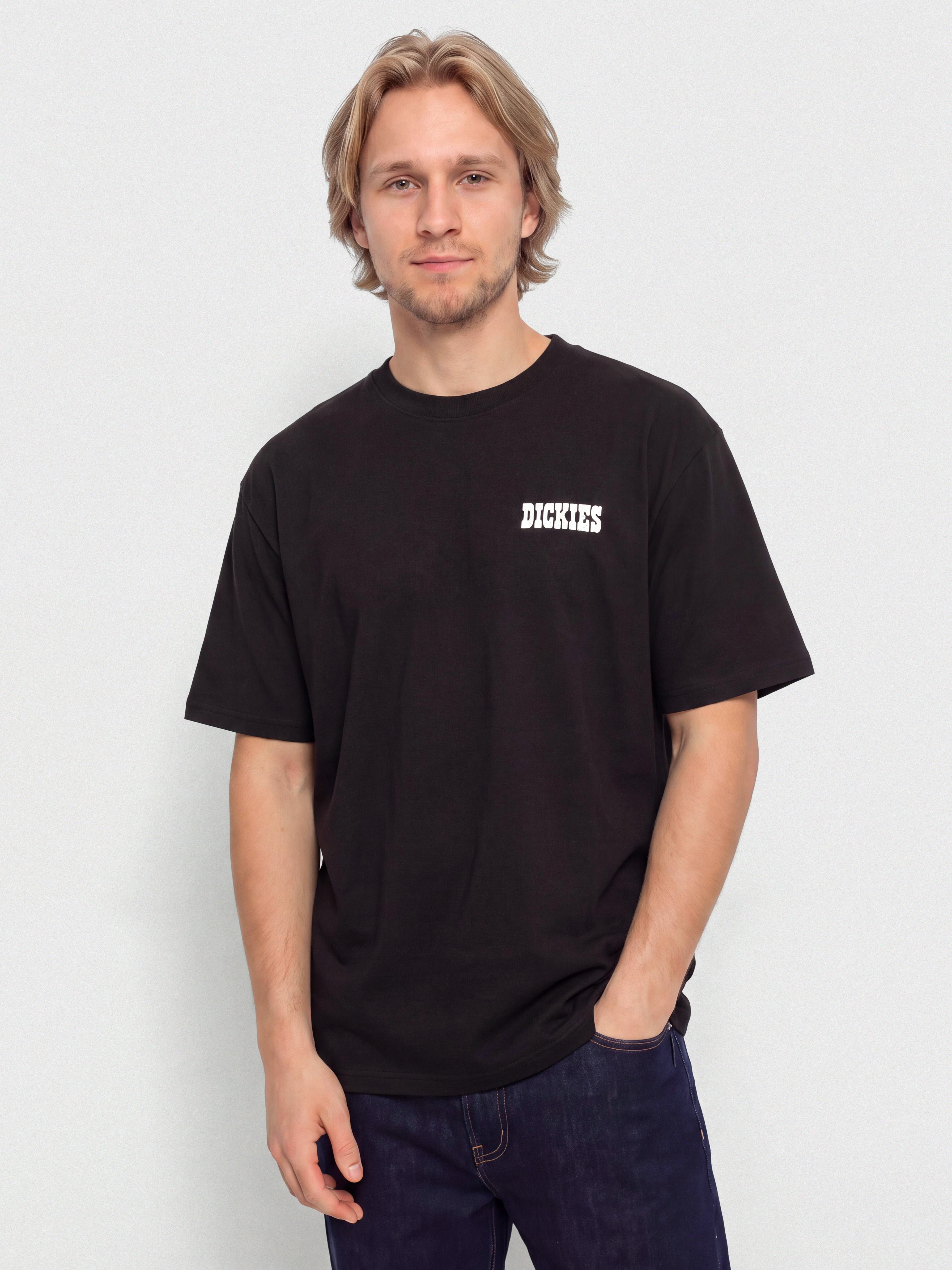 Футболка Dickies Plain City (black)