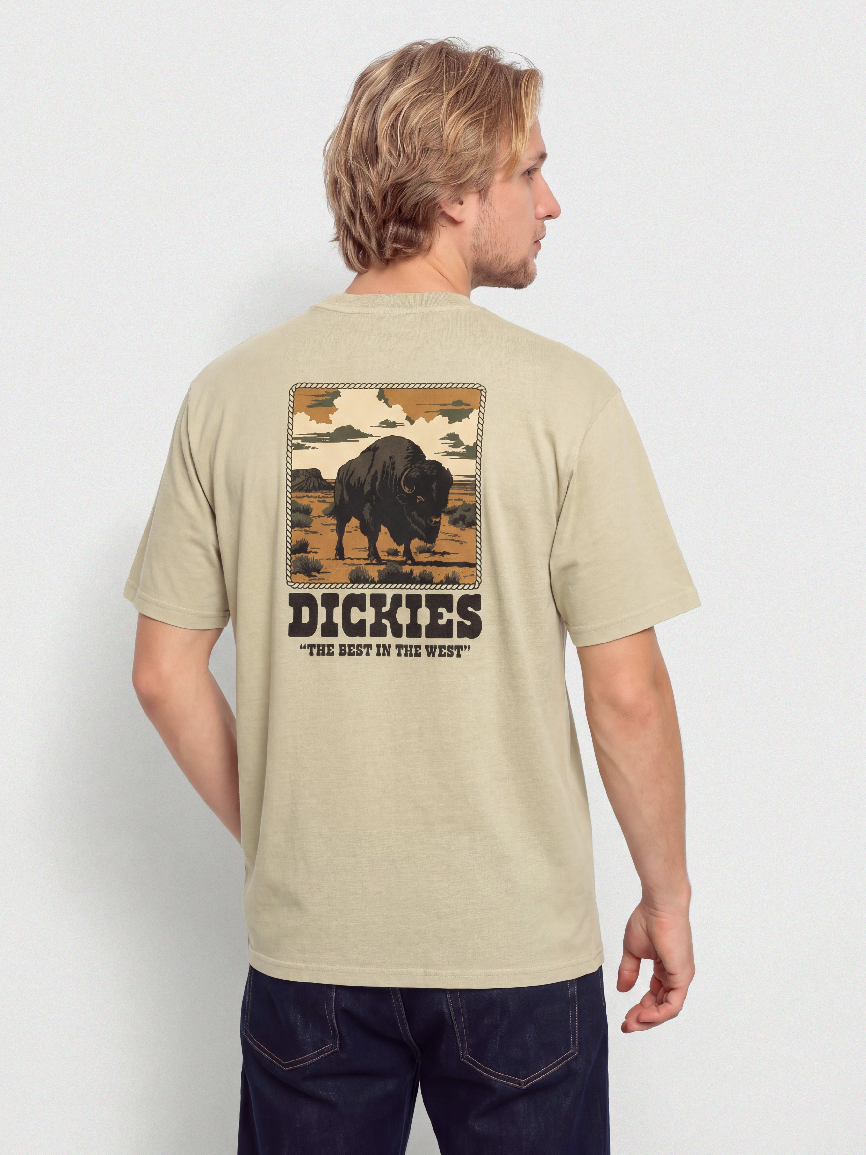 Футболка Dickies Darrtown (eucalyptus)