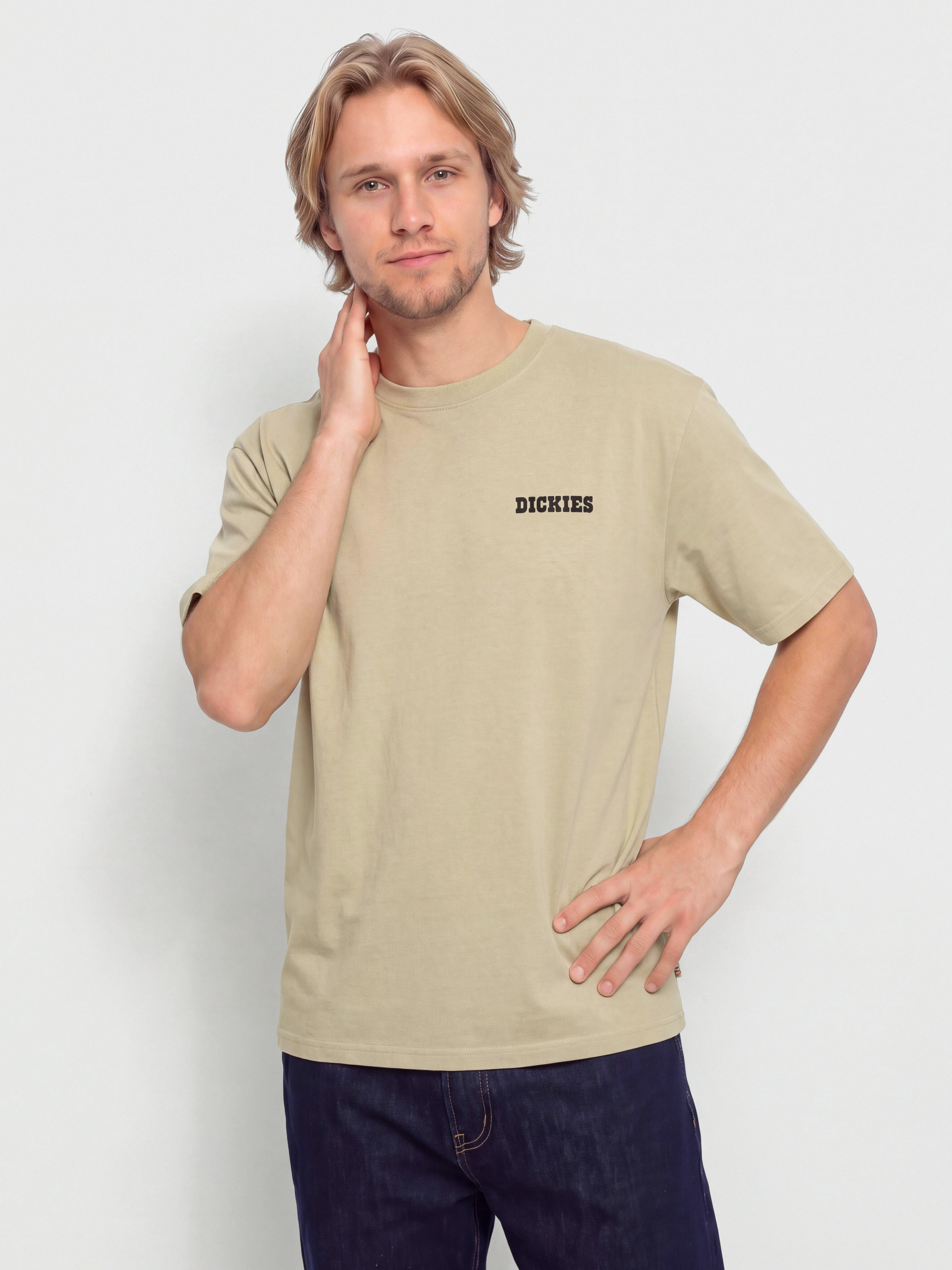 Футболка Dickies Darrtown (eucalyptus)