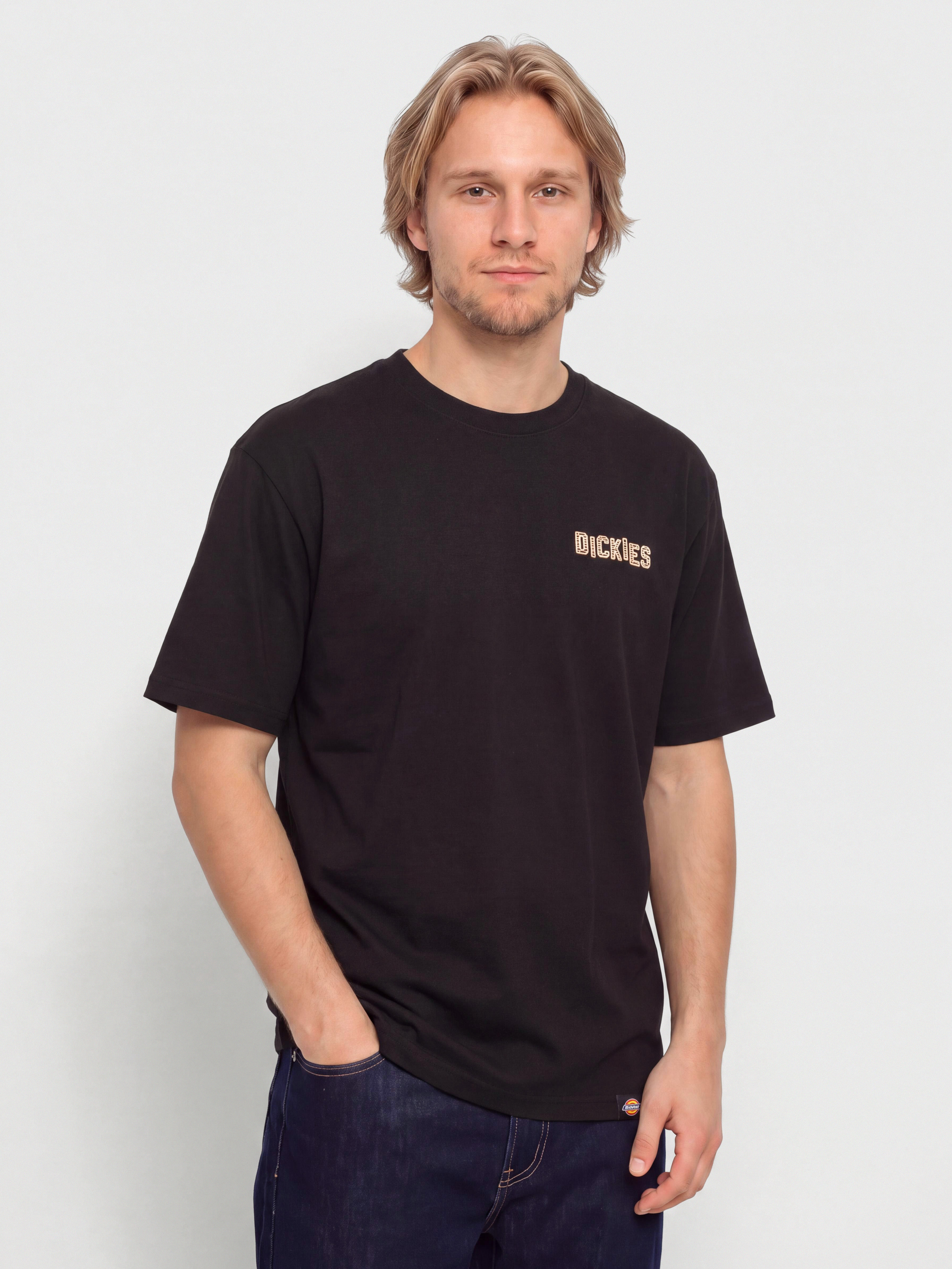 Футболка Dickies Bricklane (black)