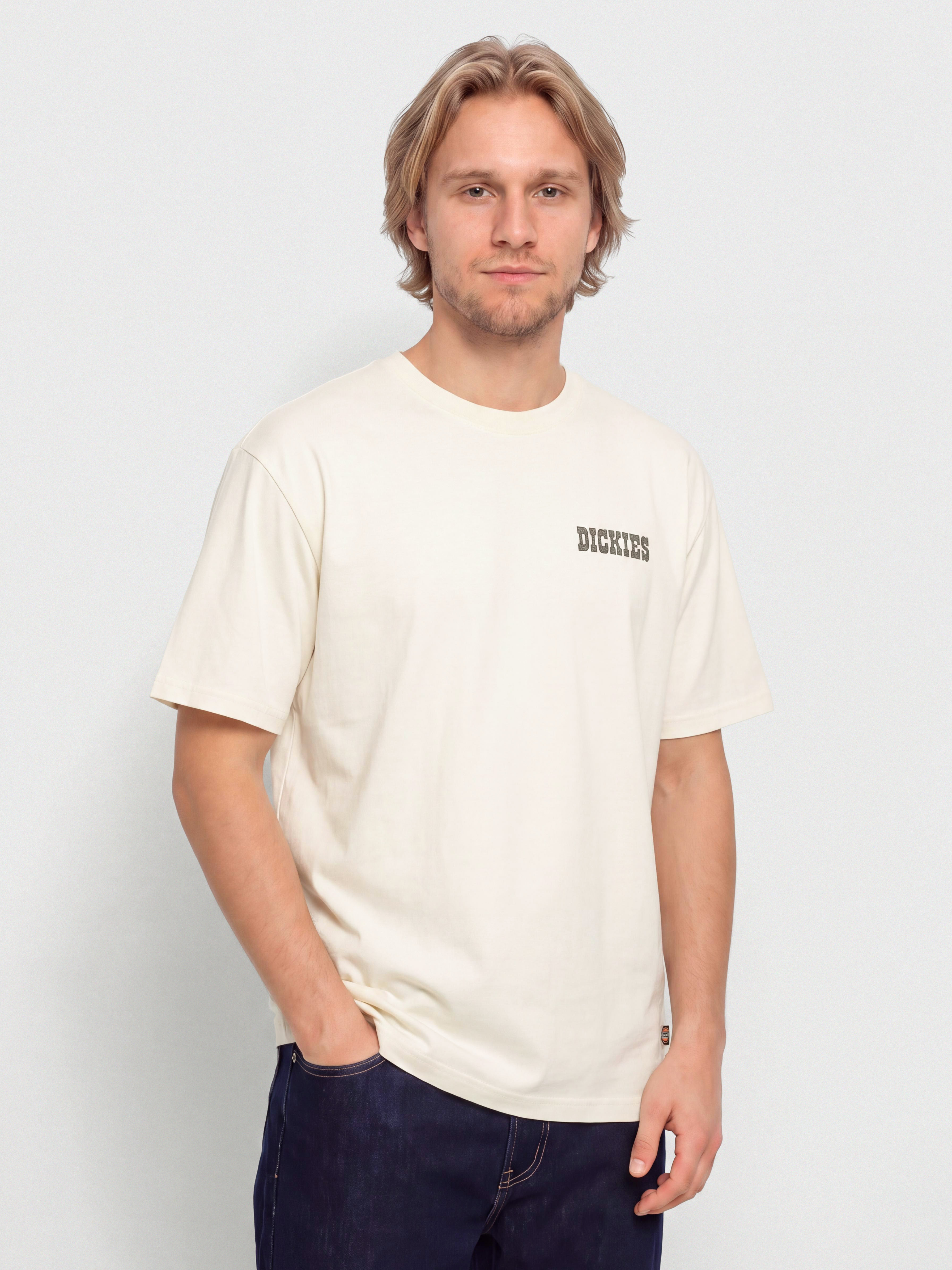 Футболка Dickies Buchtell (egret)
