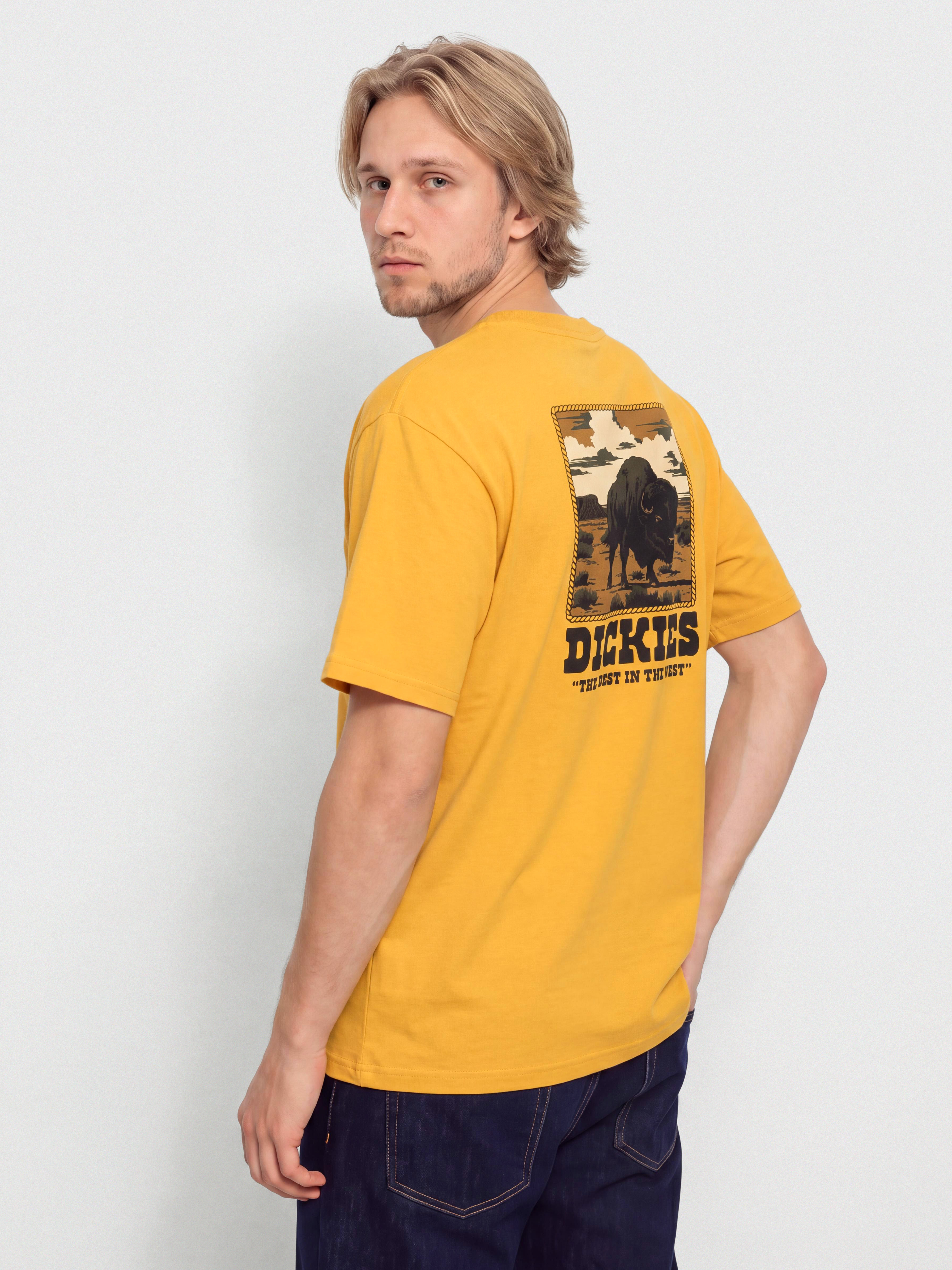 Футболка Dickies Darrtown (sunflower)